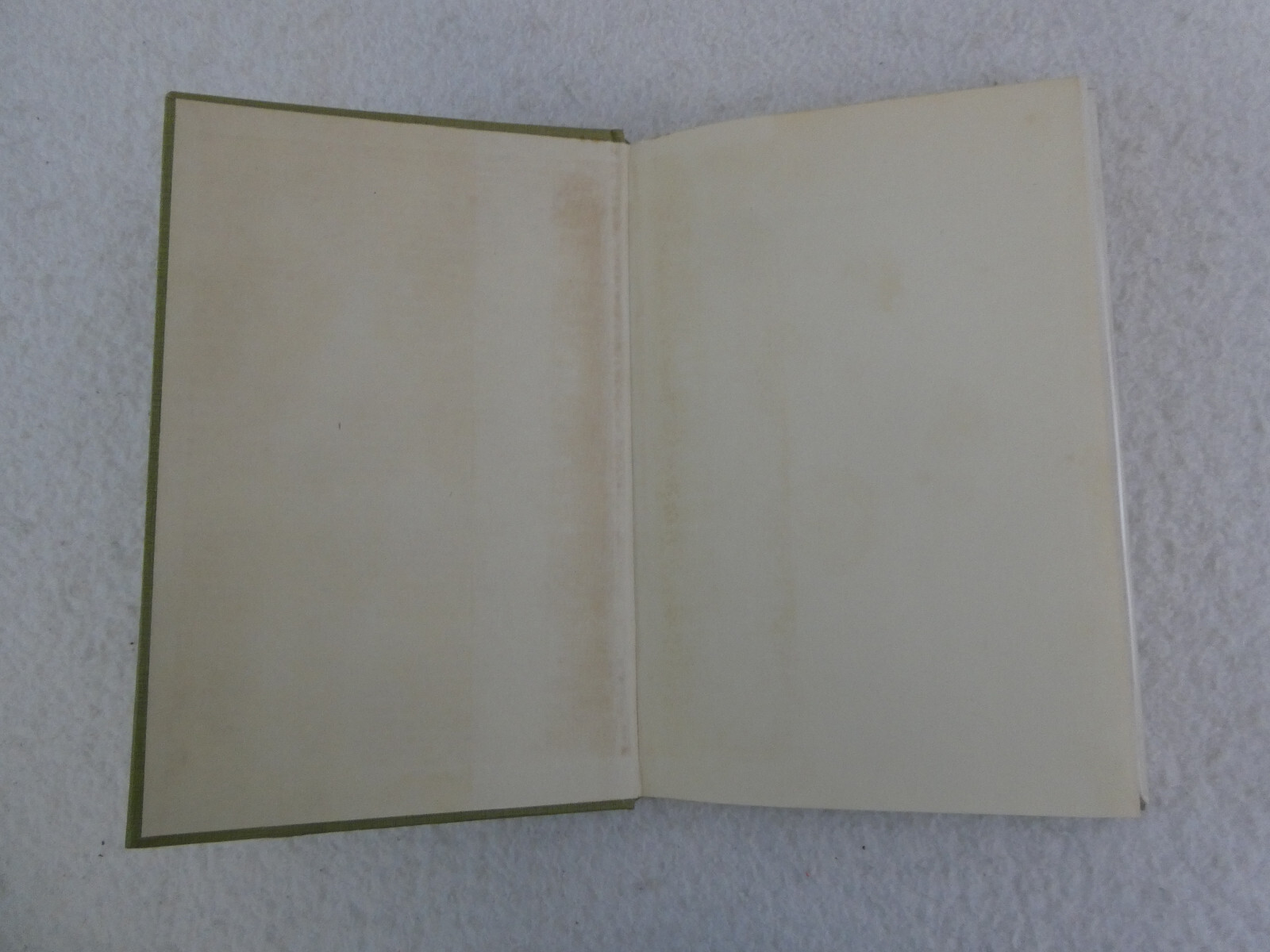 Beth Day LITTLE PROFESSOR OF PINEY WOODS 1955 HC/DJ 1st