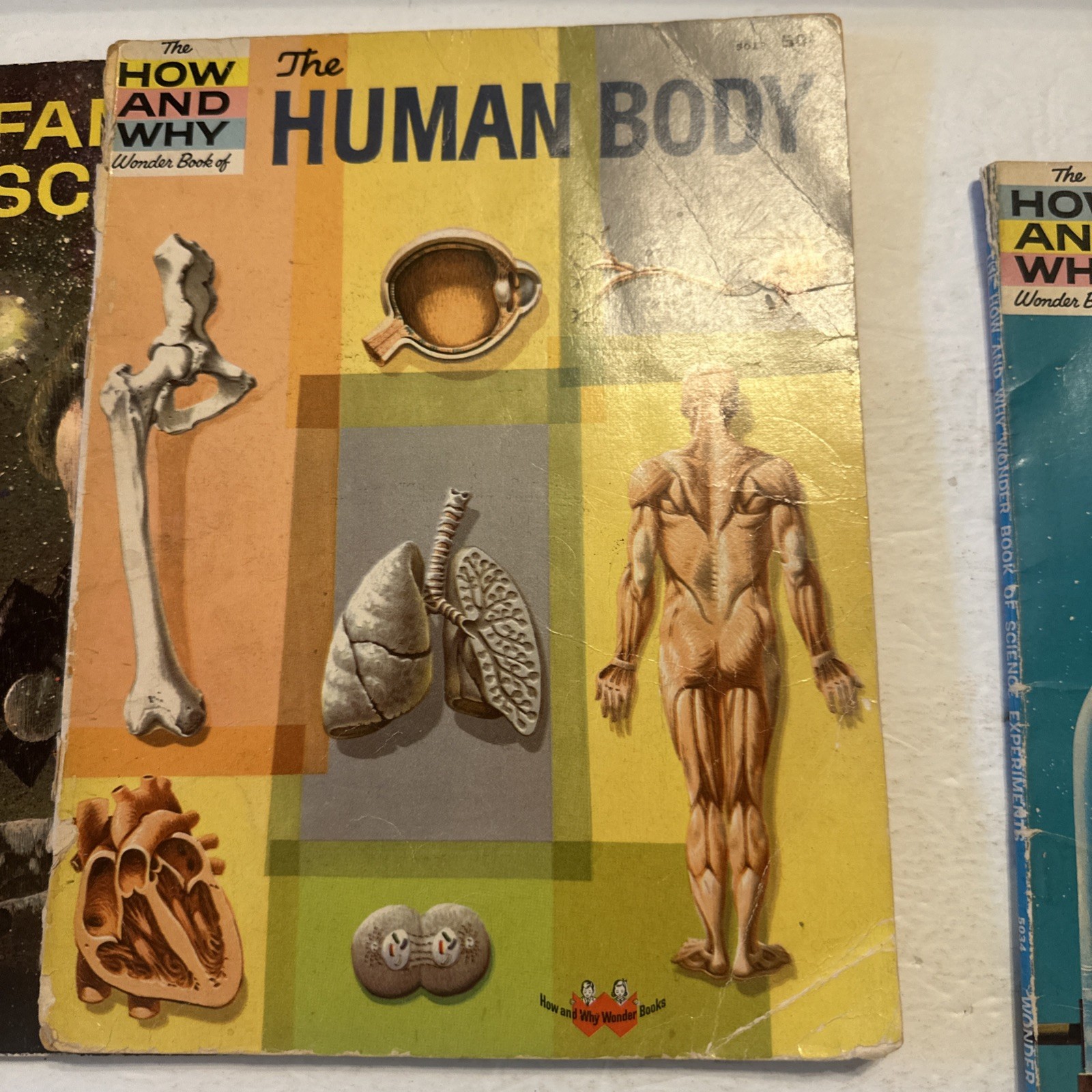 Lot Of 3 The How And Why Wonder Books Paperback Science Human Body Scientists