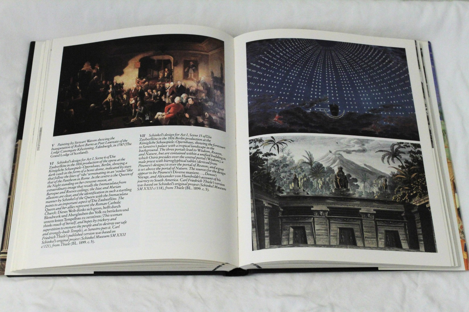 The Art and Architecture of Freemasonry by James Stevens Curl HCDJ 1993 Occult