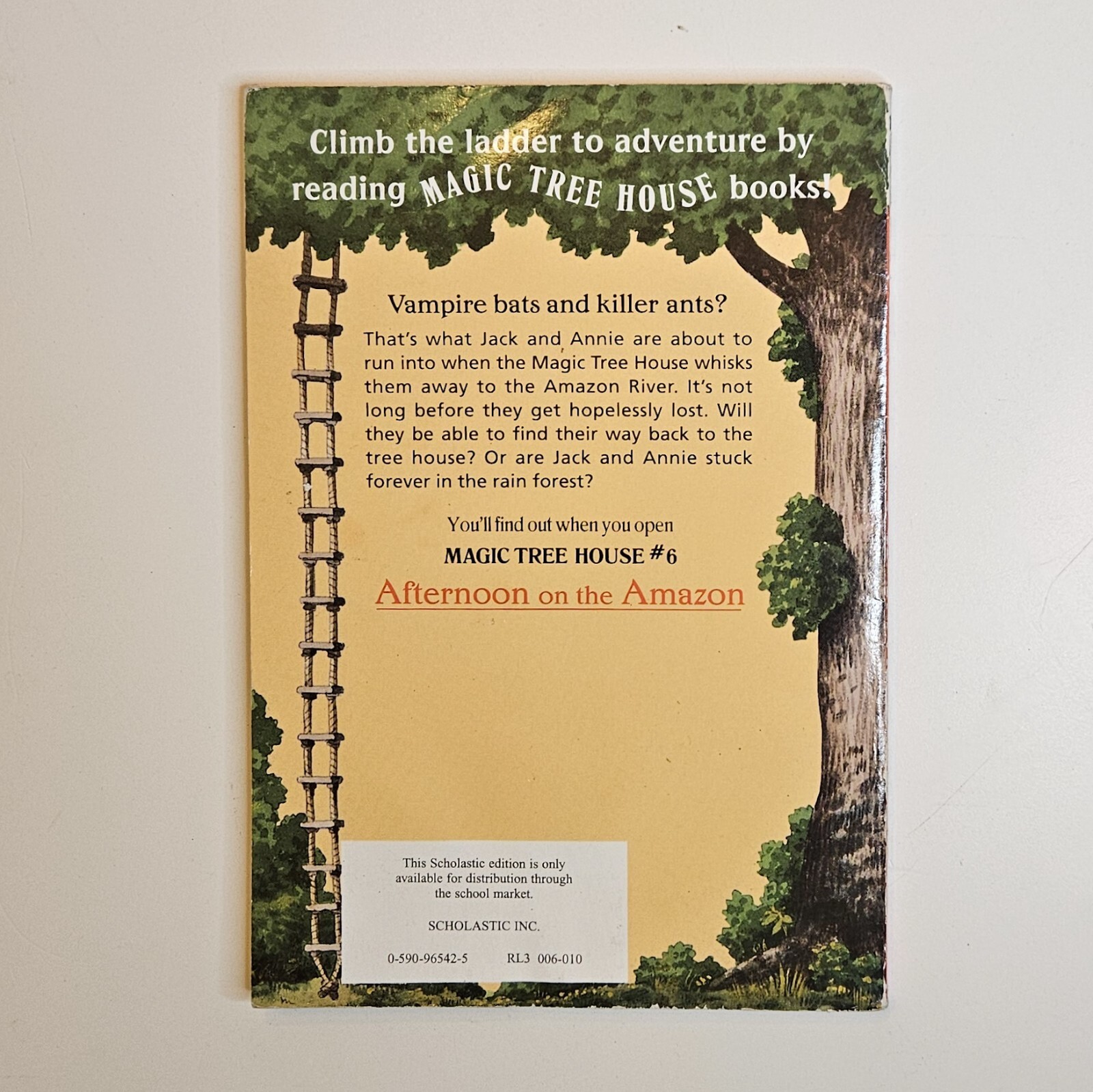 Lot 9 Magic Tree House Books #1 #6 #12 #13 #34 Research Guide Merlin Missions