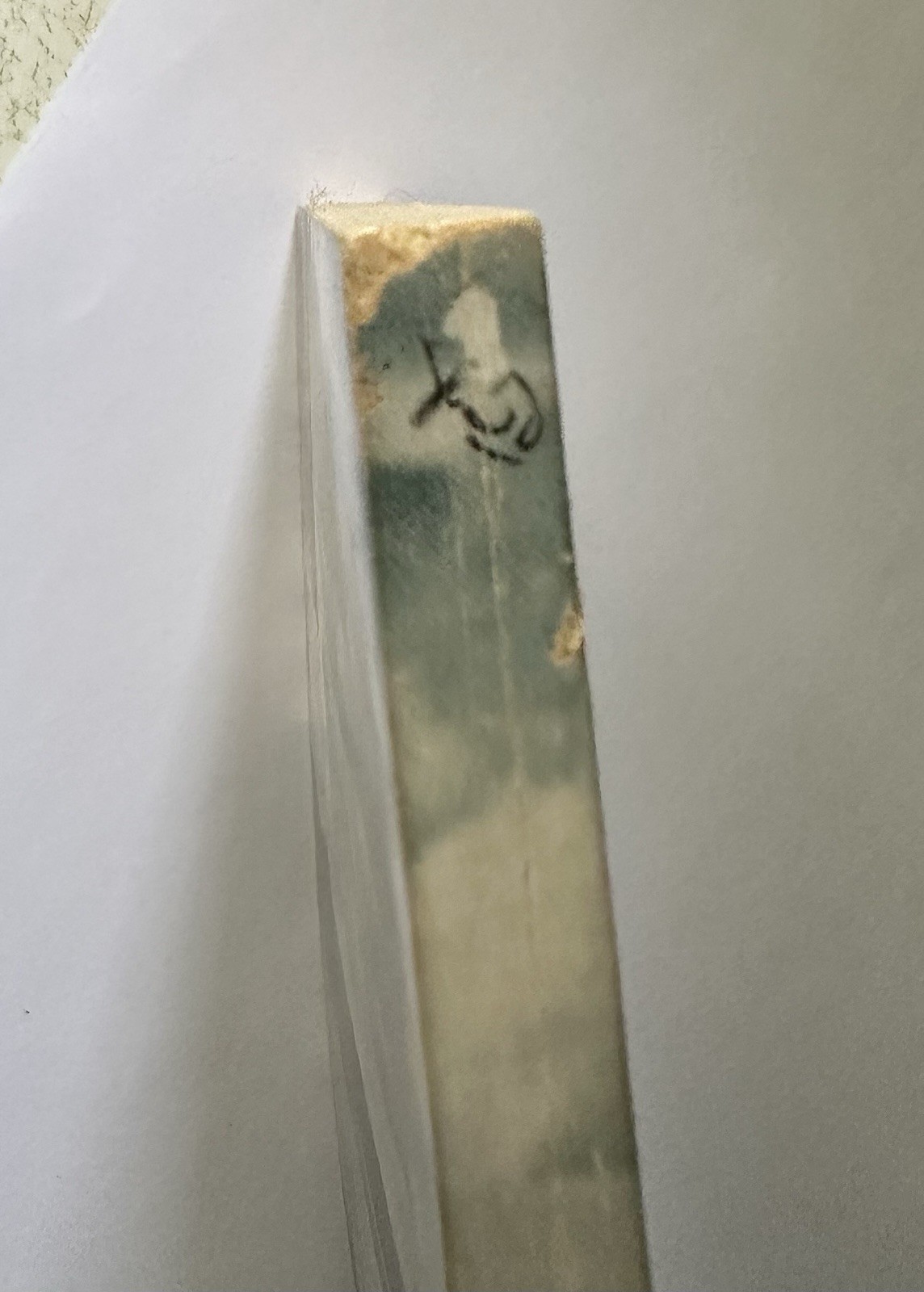80 Years In God’s Country E H Epler Signed 116 Pages 1973 2nd Ed Three Lakes WI