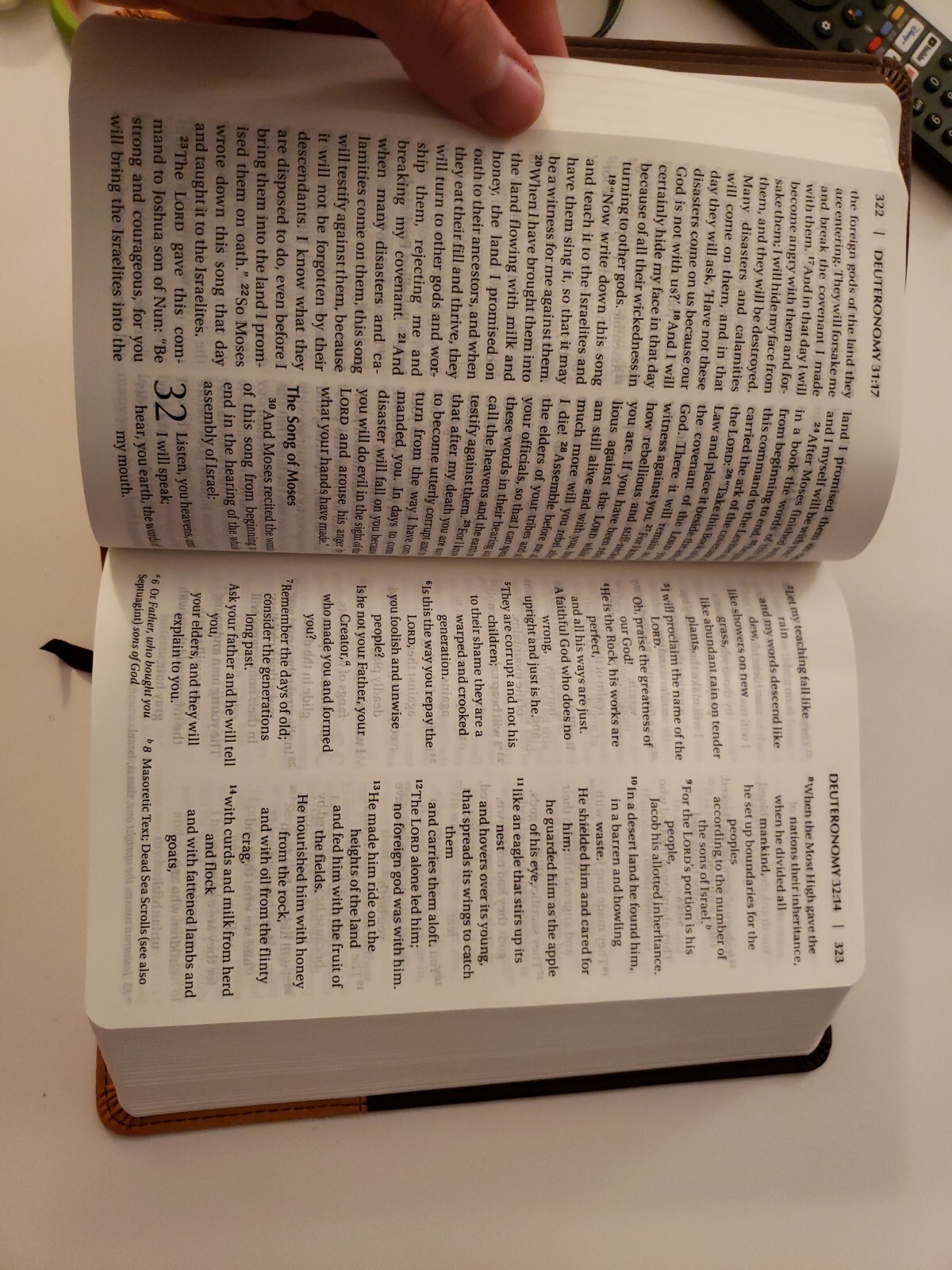 NIV Holy Bible Large Print Chocolate / Amber Duo Tone Brown Leather Cover Church