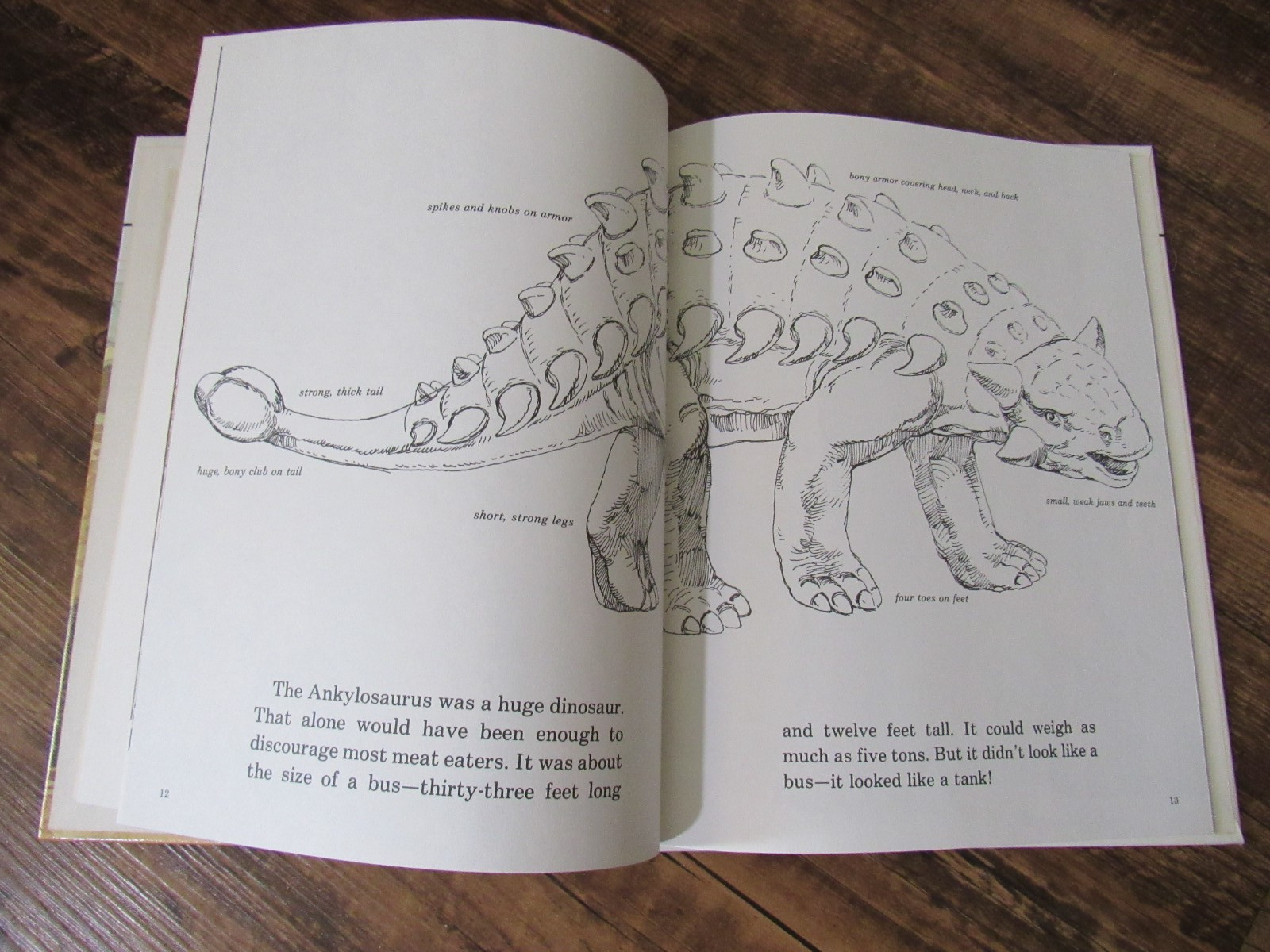 Lot of 22 Discovering Dinosaurs Books By Janet Riehecky Childs World Hardcover