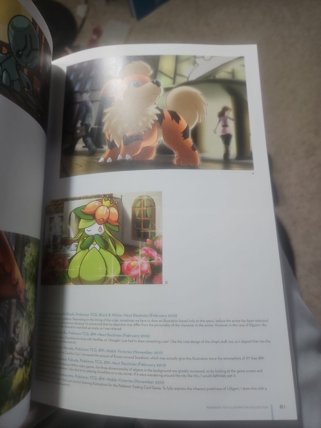 Pokemon Trading Card Game Illustration Collection Art Book (2016 Paperback)