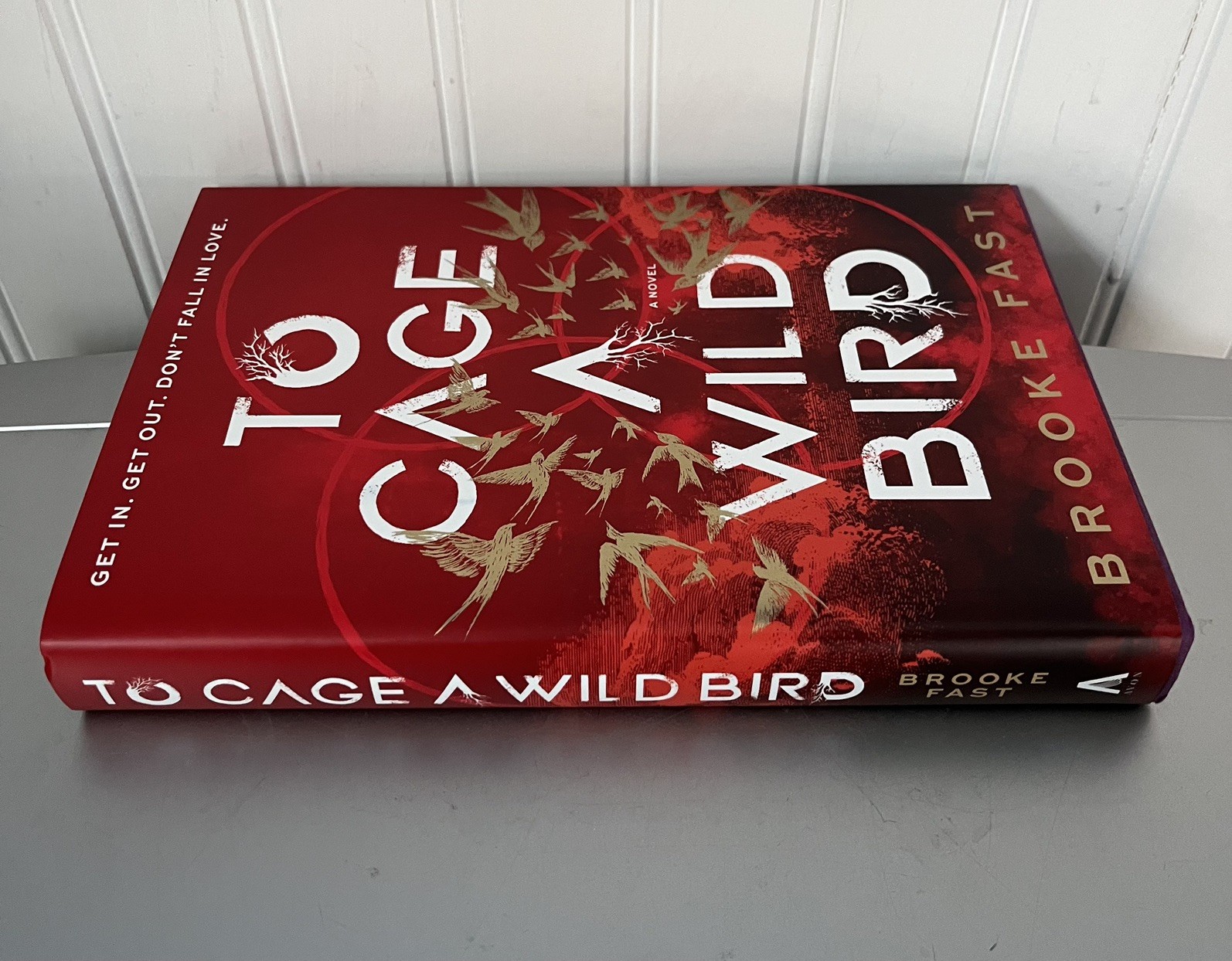 To Cage a Wild Bird by Brooke Fast Hardcover Book