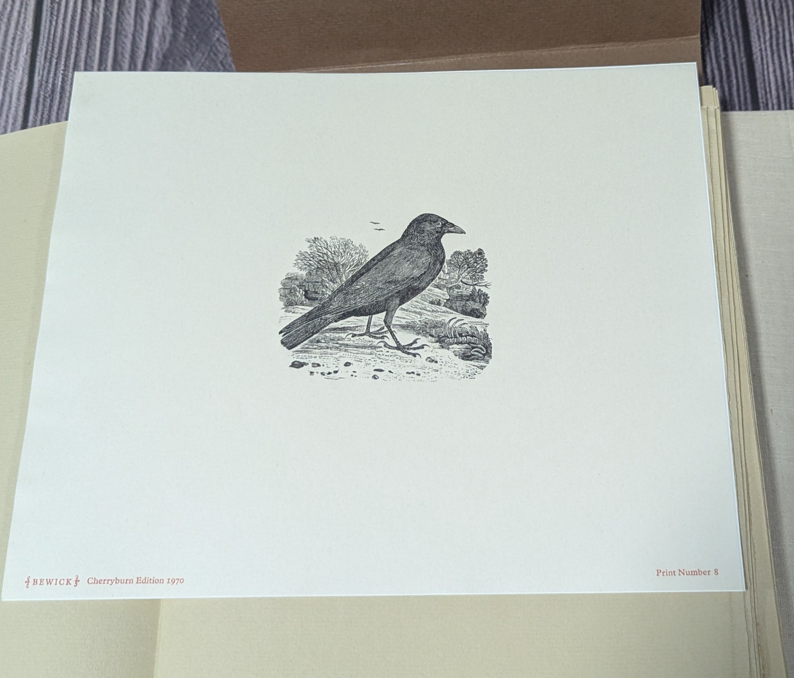 Portfolio of 100 Thomas Bewick Wood Engravings – 1970 Newberry Cherryburn Press