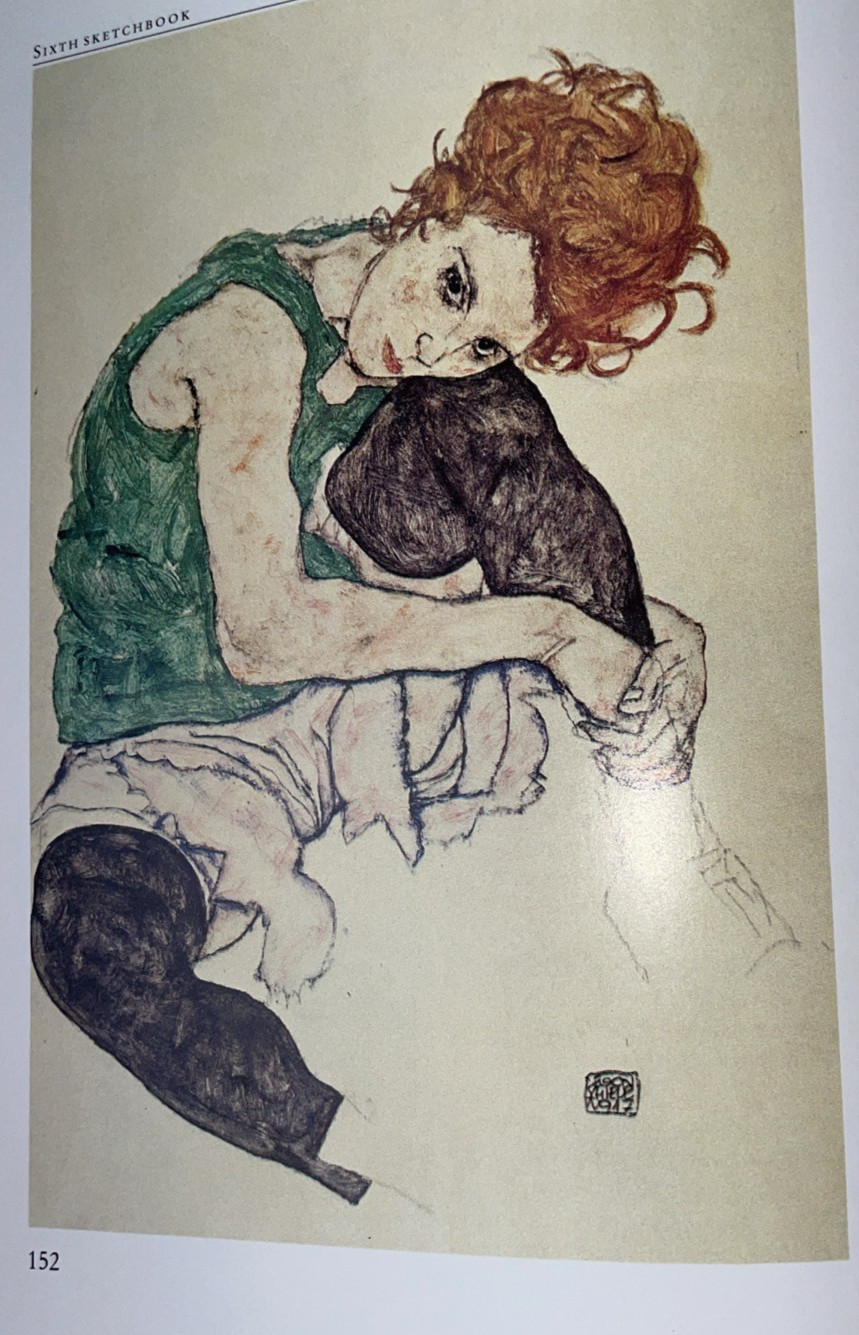 Egon Schiele Sketch Books Christian M. Nebehay 1989 Rizzoli 1st Edition HC/DJ