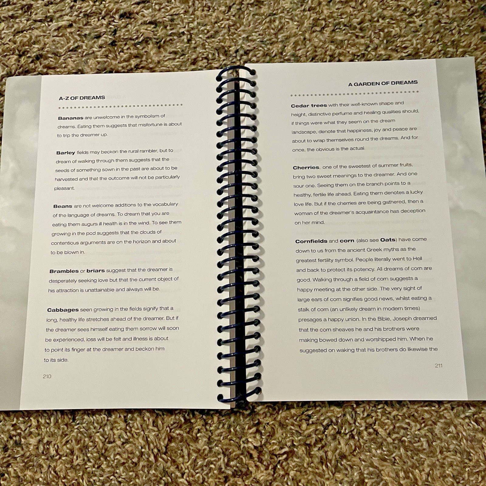 The A to Z of Dreams by Michael Johnstone Chartwell Books Dream Guide