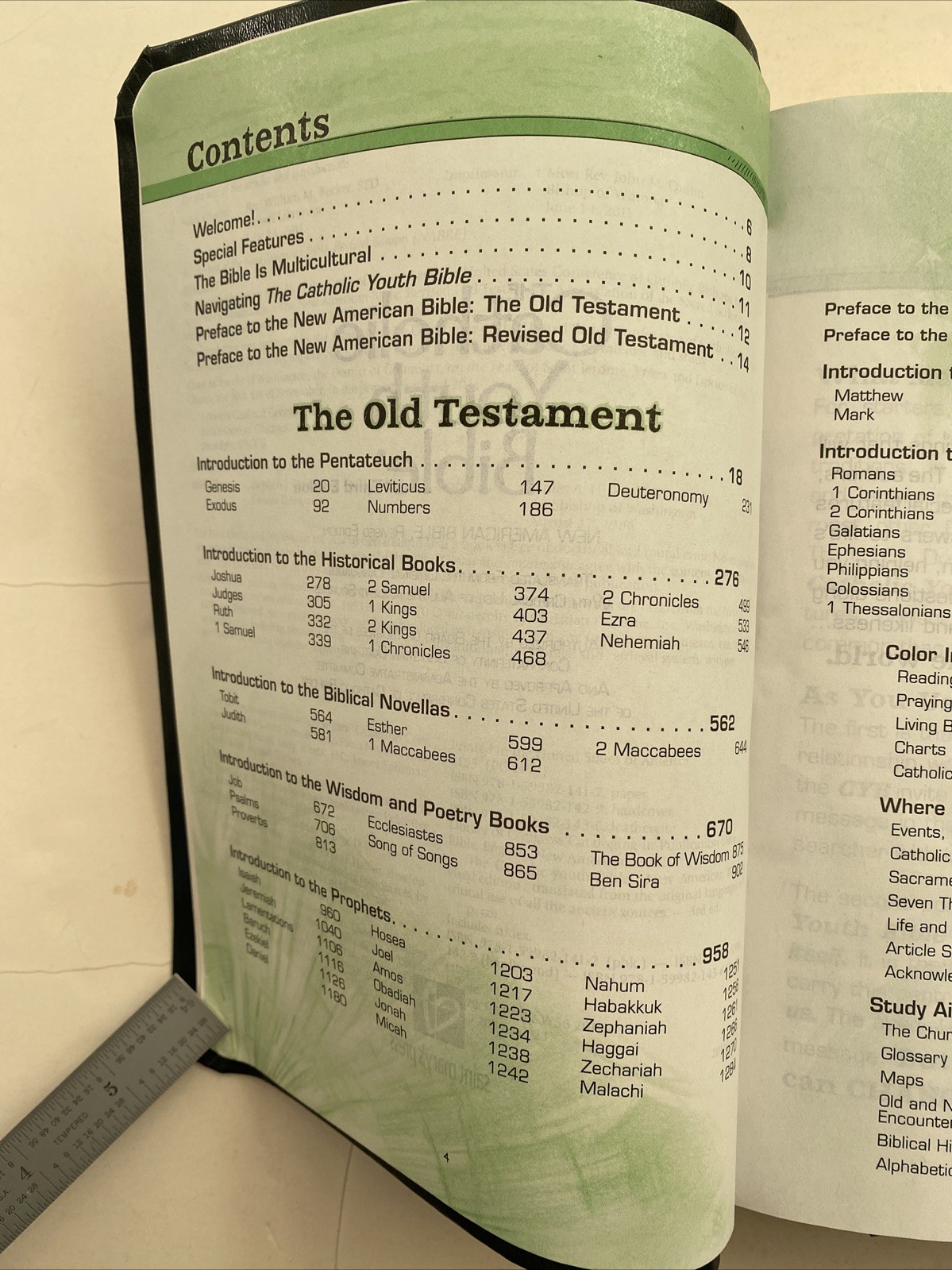 The Catholic Youth Bible Leatherette 3rd Edition St Mary’s Press 2012