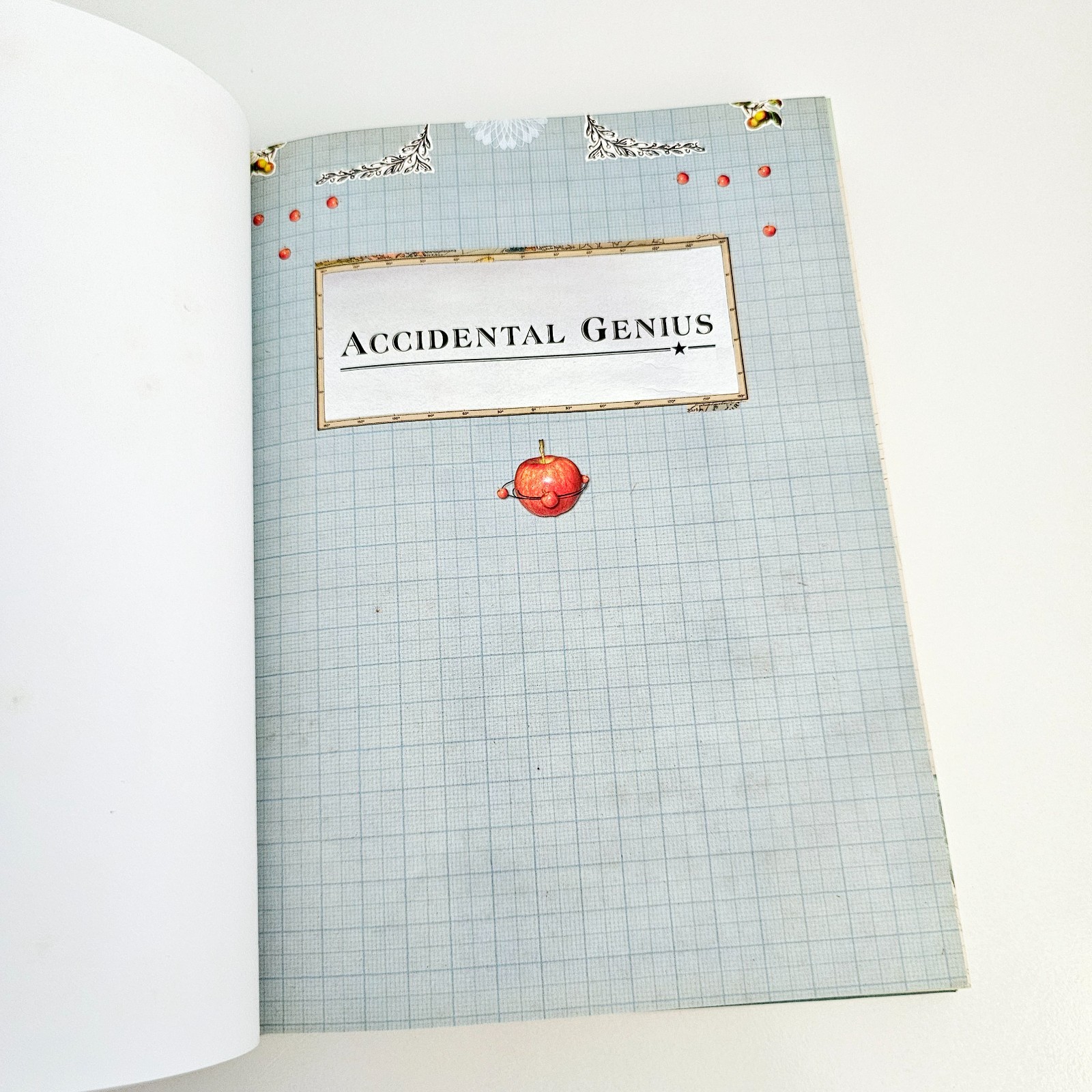 Accidental Genius Richard Gaughan Hardcover by chance discoveries Free Postage