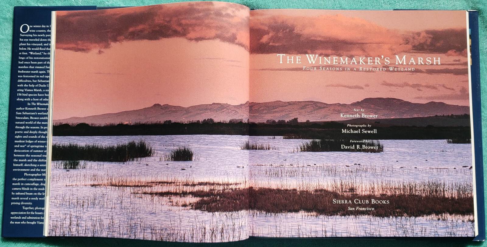 The Winemaker’s Marsh 4 Seasons In A Restored Wetland 2001 Hardcover 166 Pages