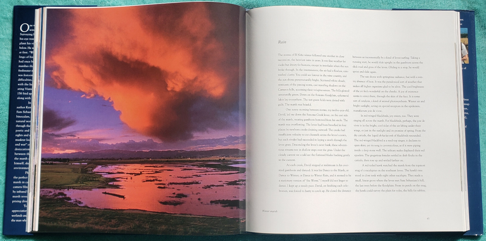 The Winemaker’s Marsh 4 Seasons In A Restored Wetland 2001 Hardcover 166 Pages