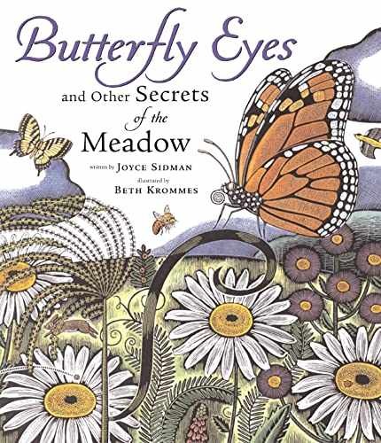 Butterfly Eyes and Other Secrets of – Hardcover, by Sidman Joyce – Very Good g