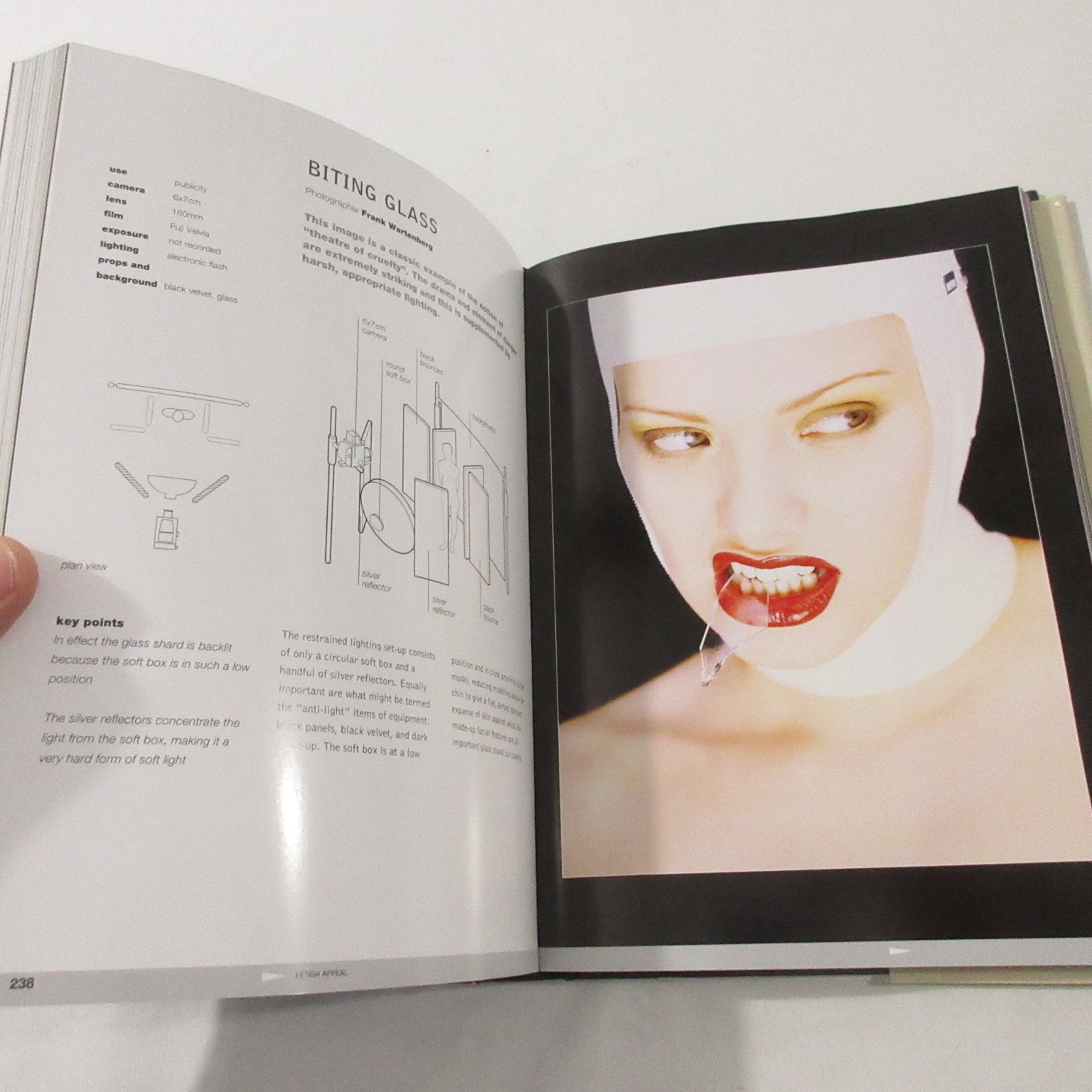 Photography Books Lot: Lighting The Nude & Skin Digital Photography Guide Lee