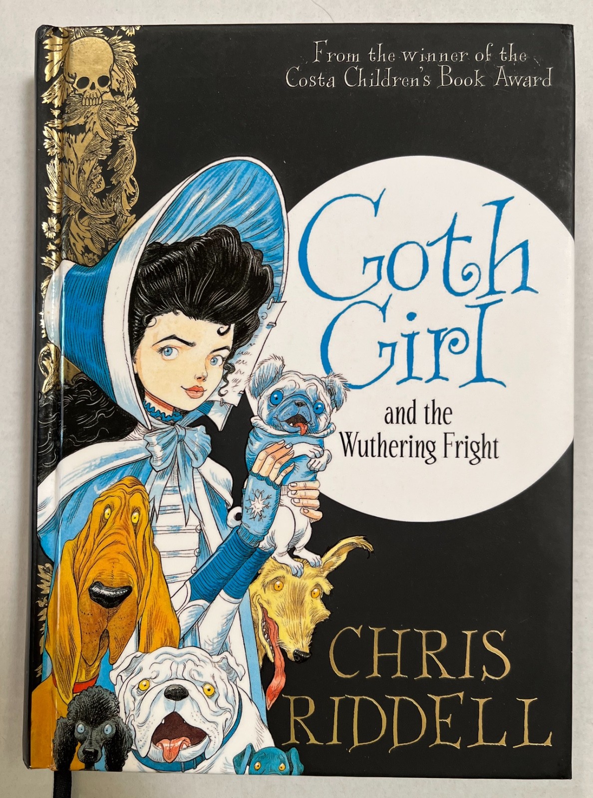 Goth Girl Series (4 books) – Chris Riddell – Hardcover