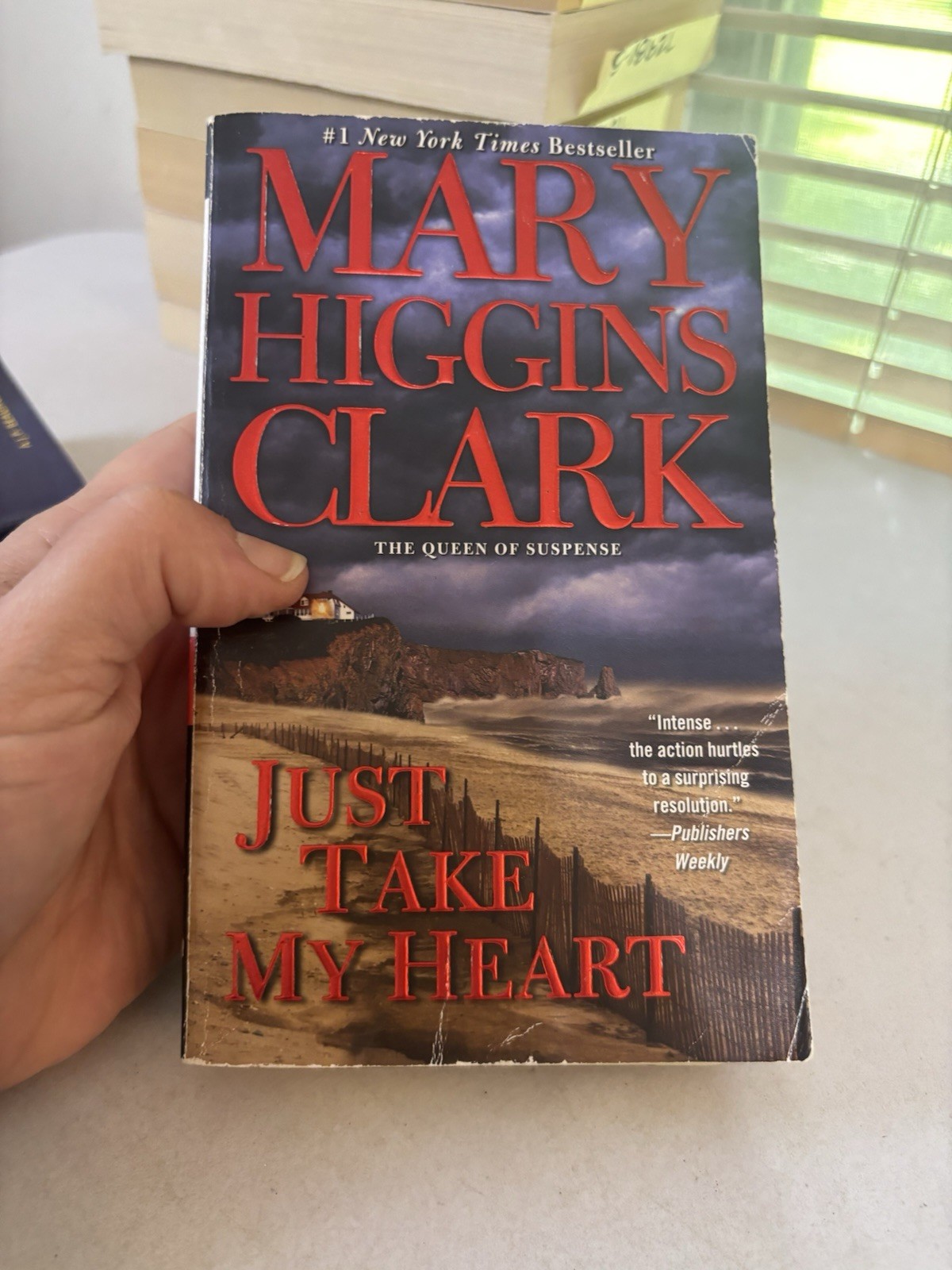 Lot of 10 – Mystery and Thrillers – Mixed Authors – FREE SHIPPING
