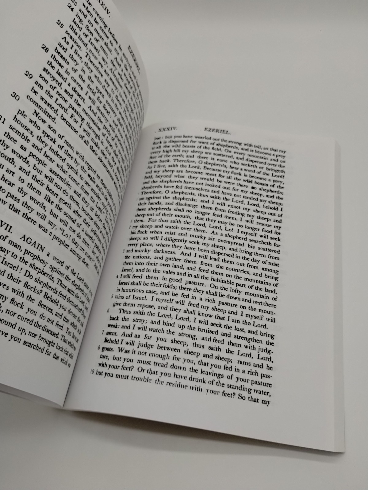 The Holy Bible: Containing The Old And New Covenant Vol 3 Proverbs- Malachi
