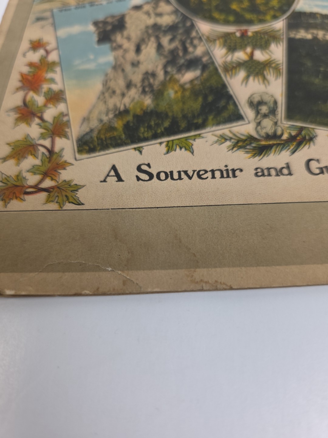 The White Mts Of N.H. Switzerland Of America Souvenir And Guide Book Vintage