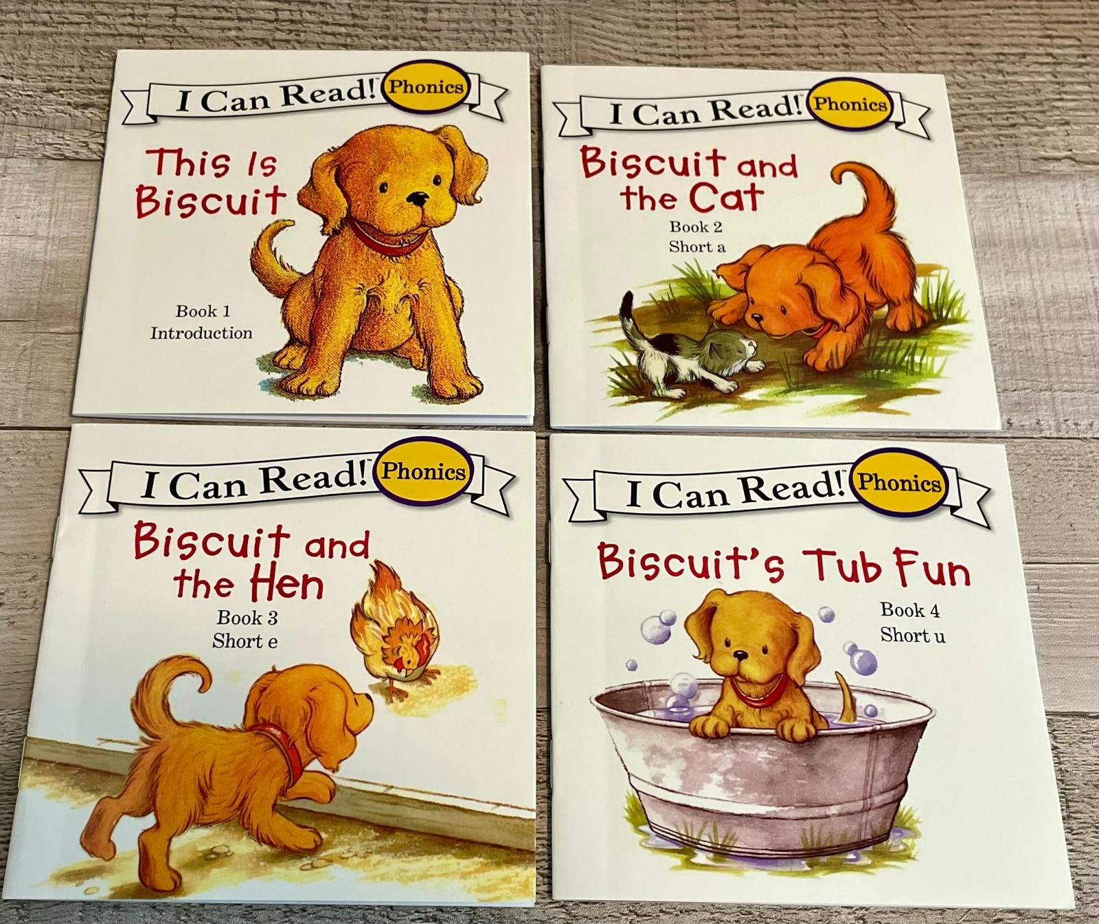 I Can Read Phonics (Short Vowels) “This is Biscuit” Set of 12
