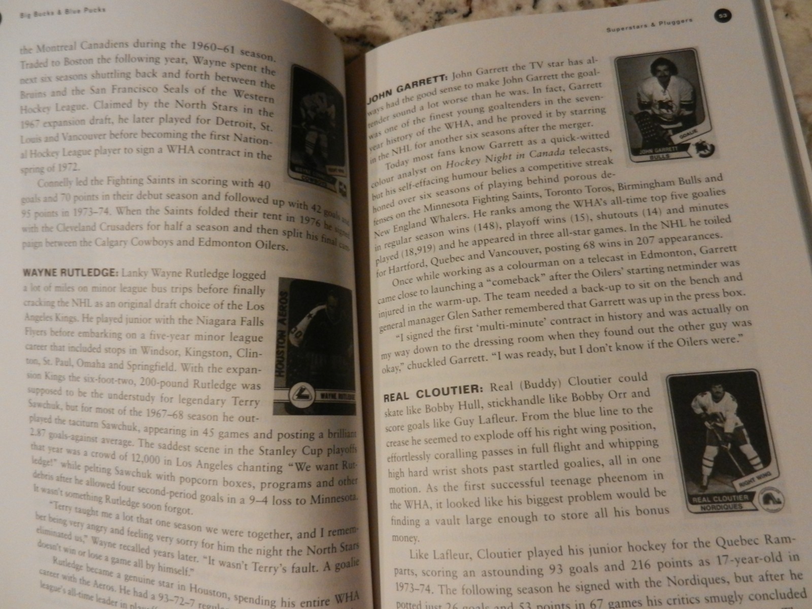 BIG BUCKS & BLUE PUCKS 1997 book WORLD HOCKY ASSOCIATION Murray Greig WHA