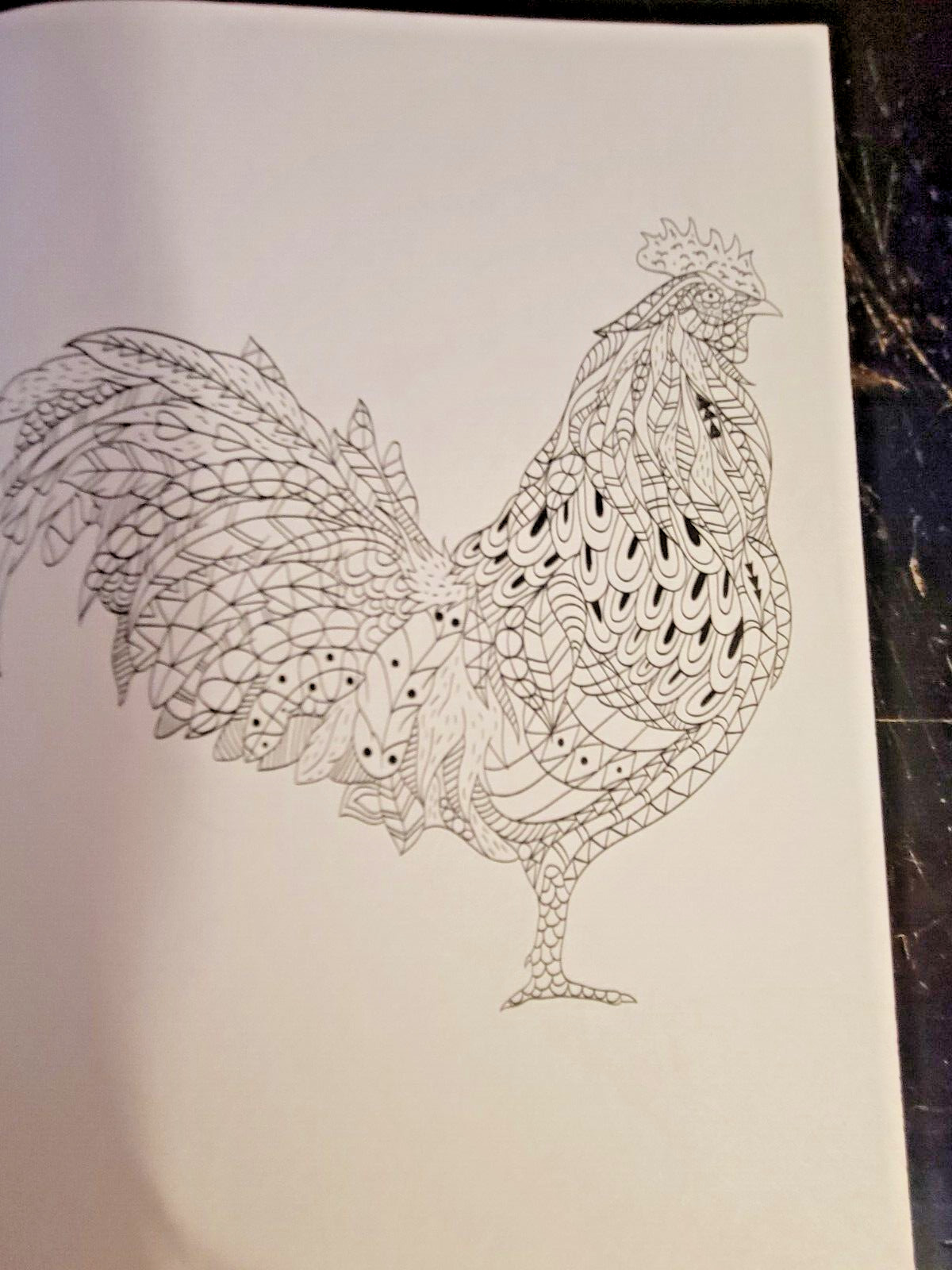 COLORS OF THE WILD Vol. 23 Adult Coloring Book With 47 Prints Ready To Frame!