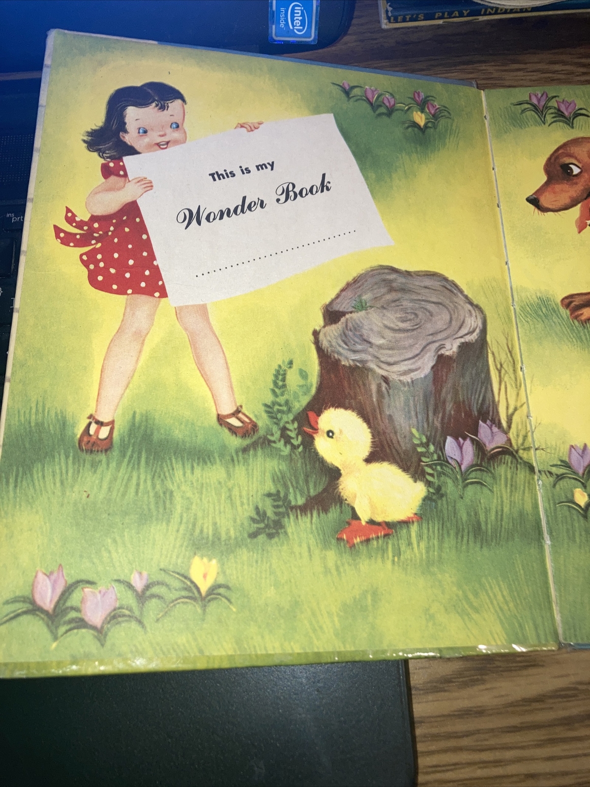 The Hide and Seek Duck by Irma Wilde , 1952 Wonder Books #568 Hardcover