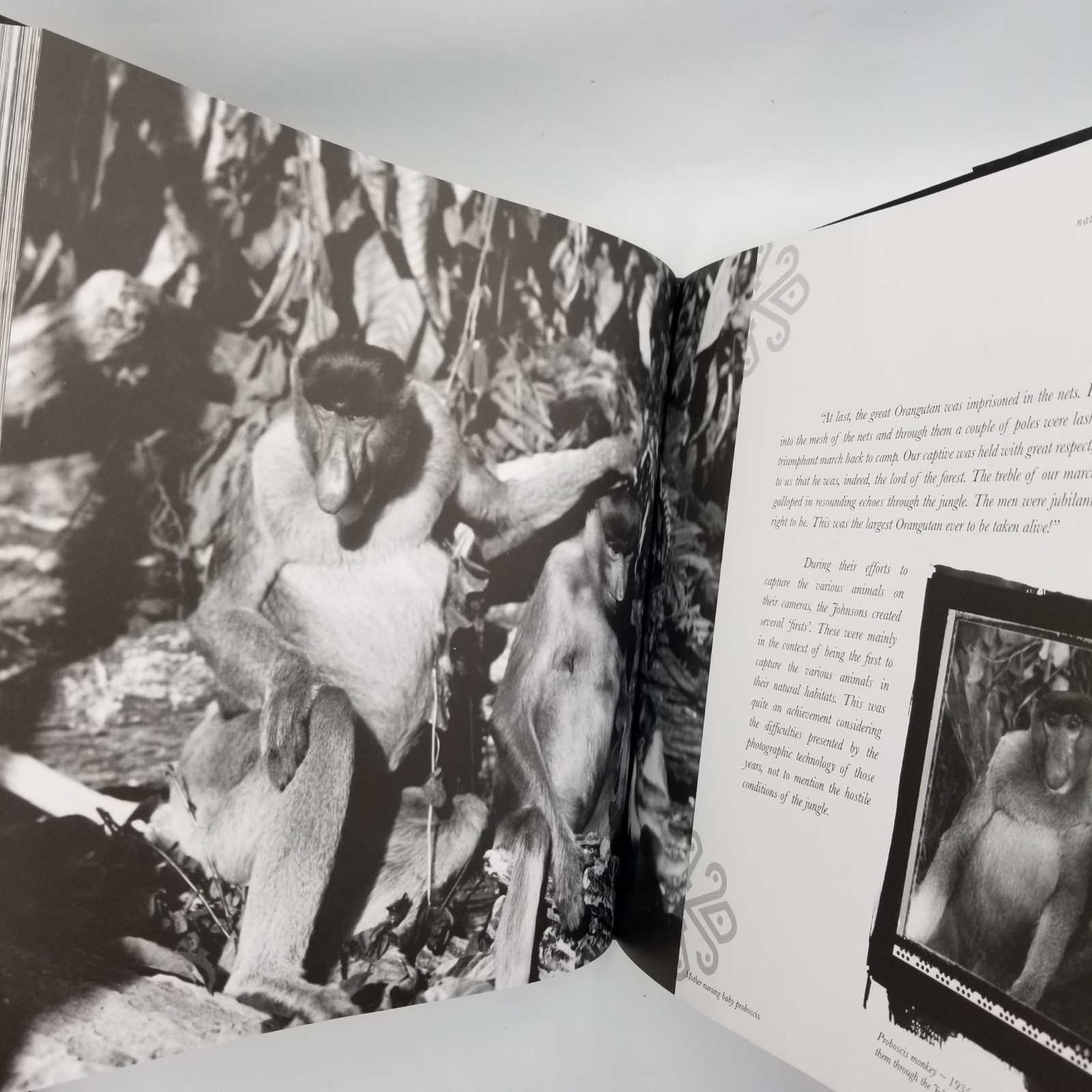 Spirit of Borneo Martin & Osa Johnson Journey – 2012 1st Ed HCDJ in Slipcase