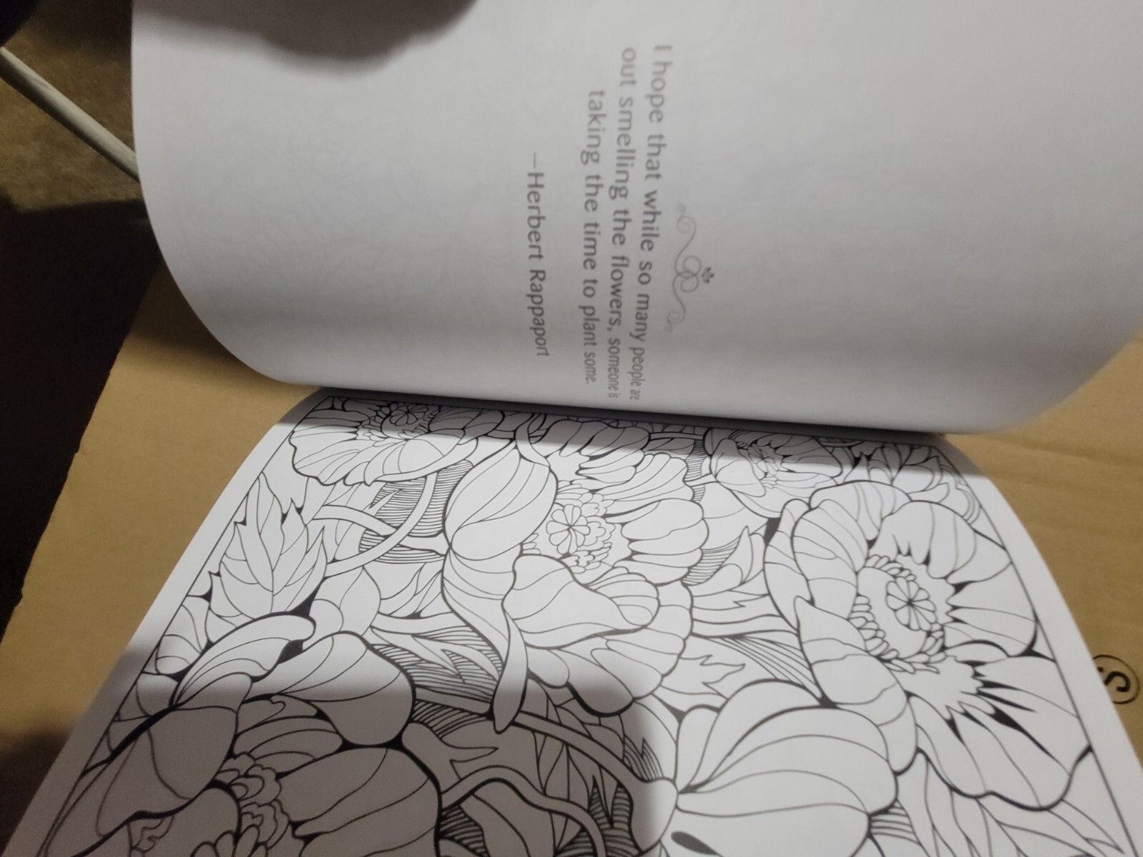 FLYING COLORS – Let Your Imagination Take Flight!- Vol. 23 -Adult Coloring Book