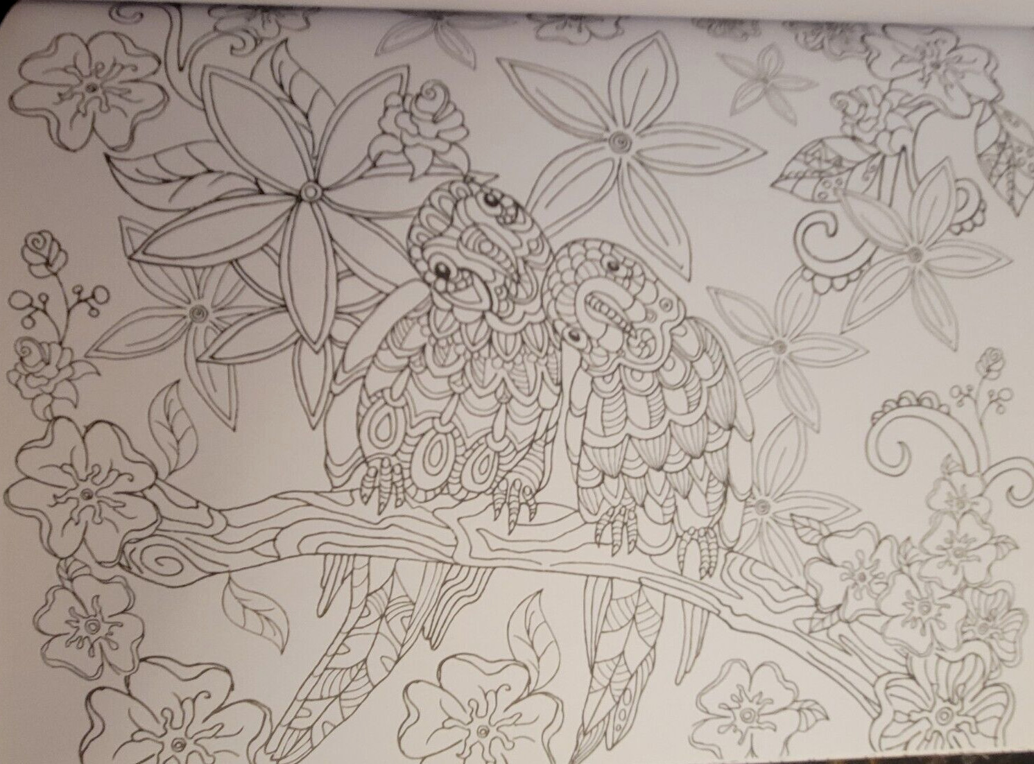 COLORS OF THE WILD Vol 22 Adult Coloring Book With 47 Prints Ready To Frame
