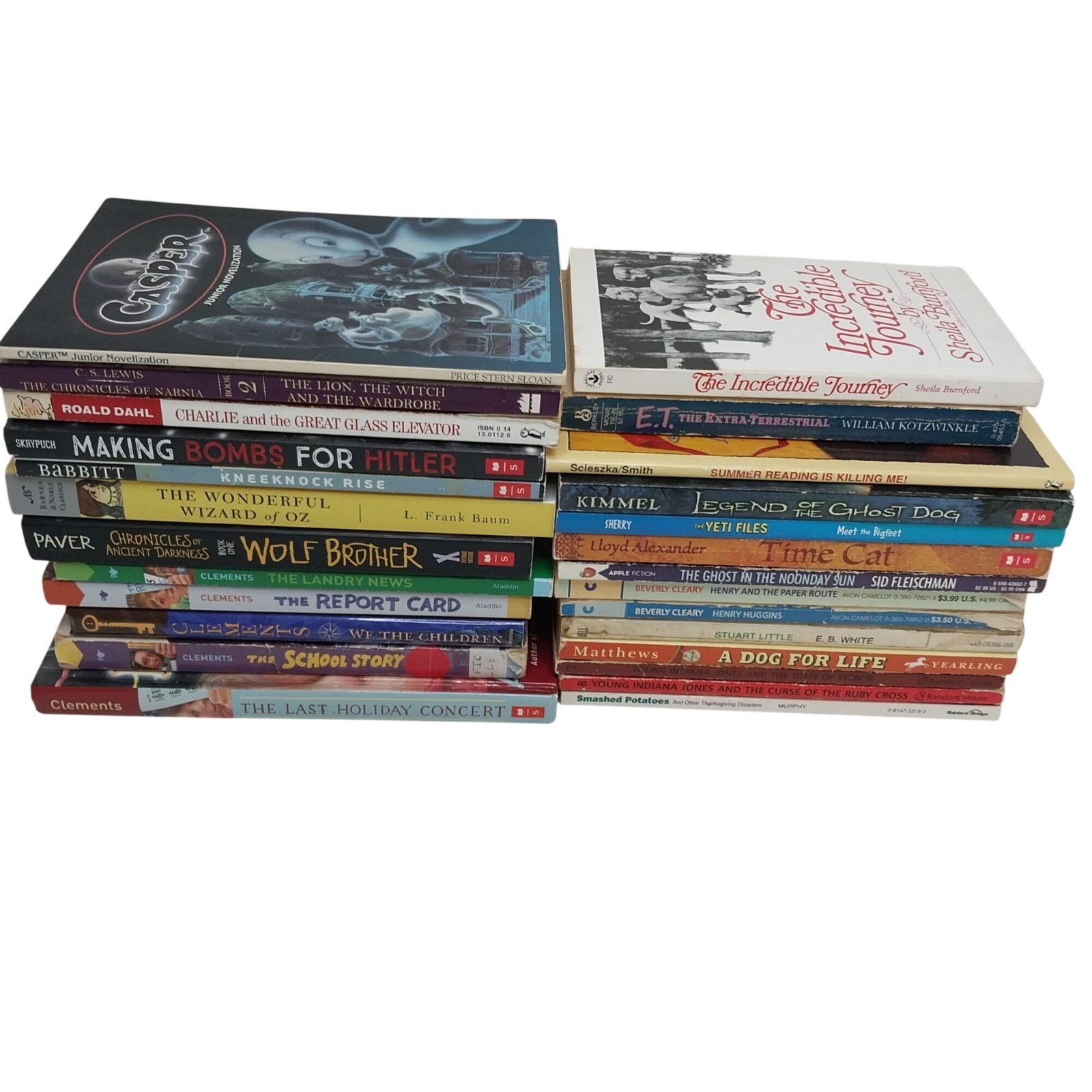 Early Chapter Books Boys Interest Lot of 26 Grade 3-6 Vintage & Modern