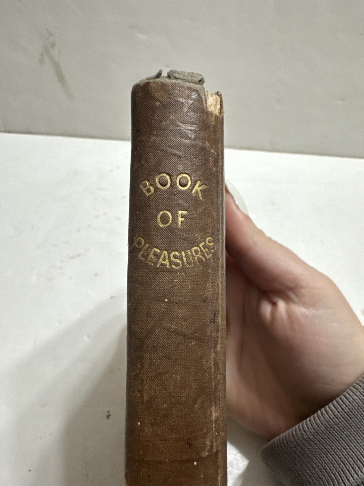 Vintage Book of Pleasures: Hope; Memory; Imagination; Campbel et al (1838) HB