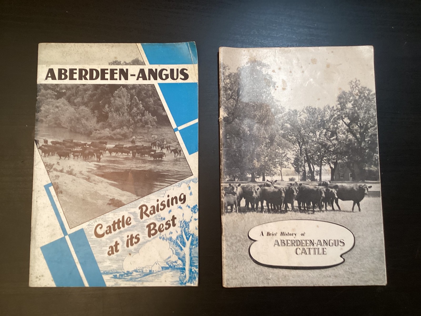 9 Vtg. 1950s Abeerdeen-Angus Books/Booklets History Rules Breeders Sales +