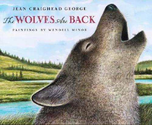 The Wolves Are Back – Hardcover By George, Jean Craighead – GOOD