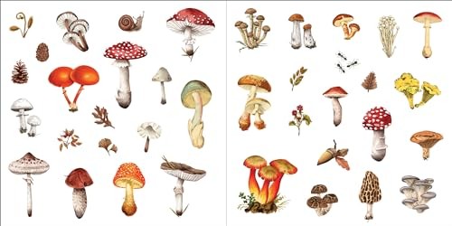 Bunches of Botanicals Sticker Book (Over 500 stickers!) – NEW