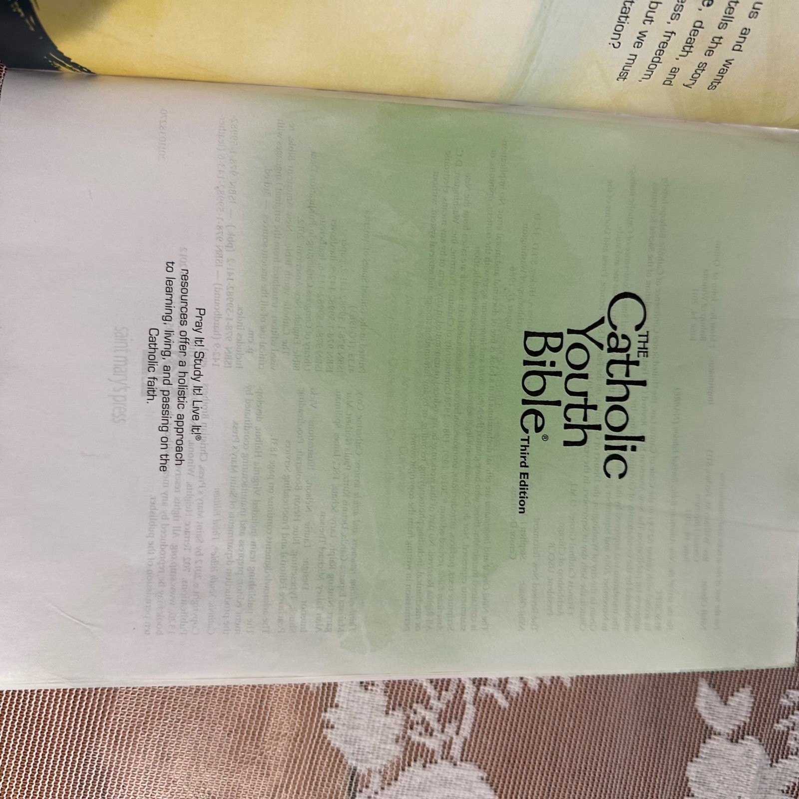 The Catholic Youth Bible Revised Edition New American Bible Saint Marys Press