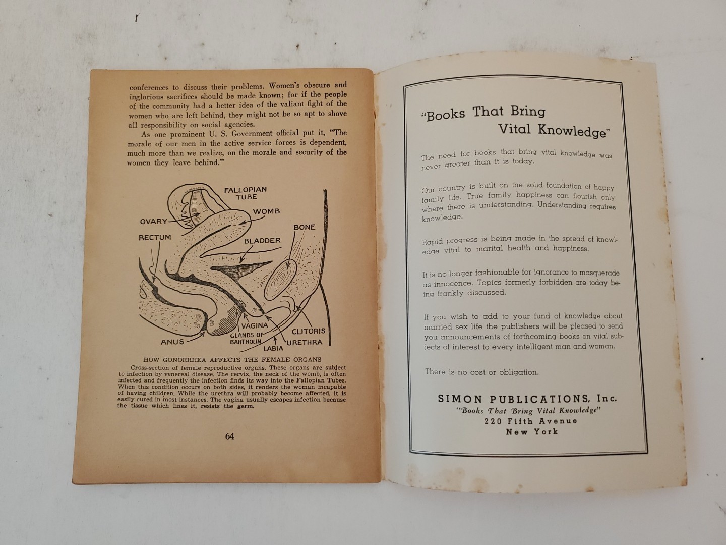 Sex and This War ~ 1942 ~ Illustrated Guide for World War II ~ Podolsky & Pugh