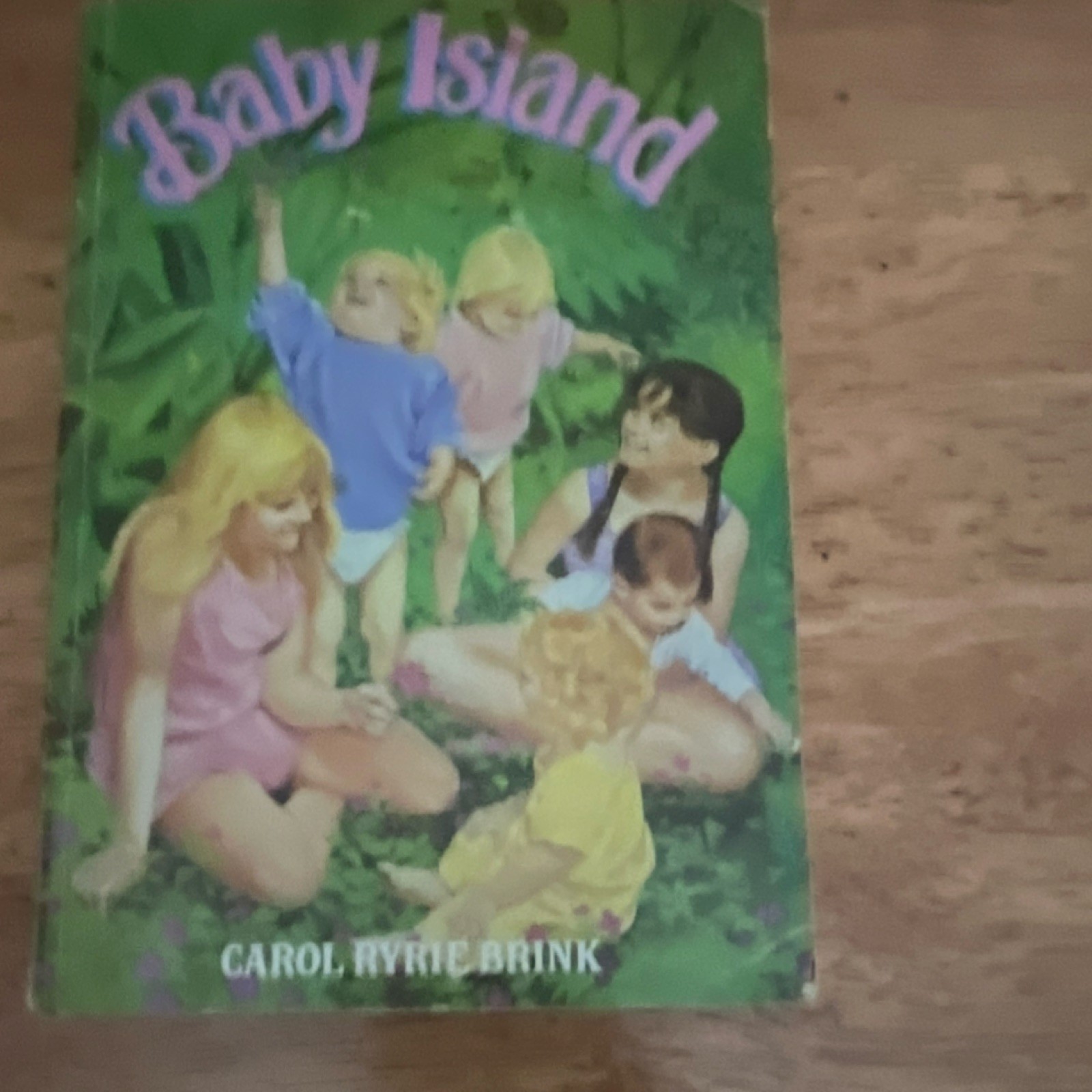 Scholastic Inc. Baby Island Carol Ryrie Brink Paperback Illustrated Novel