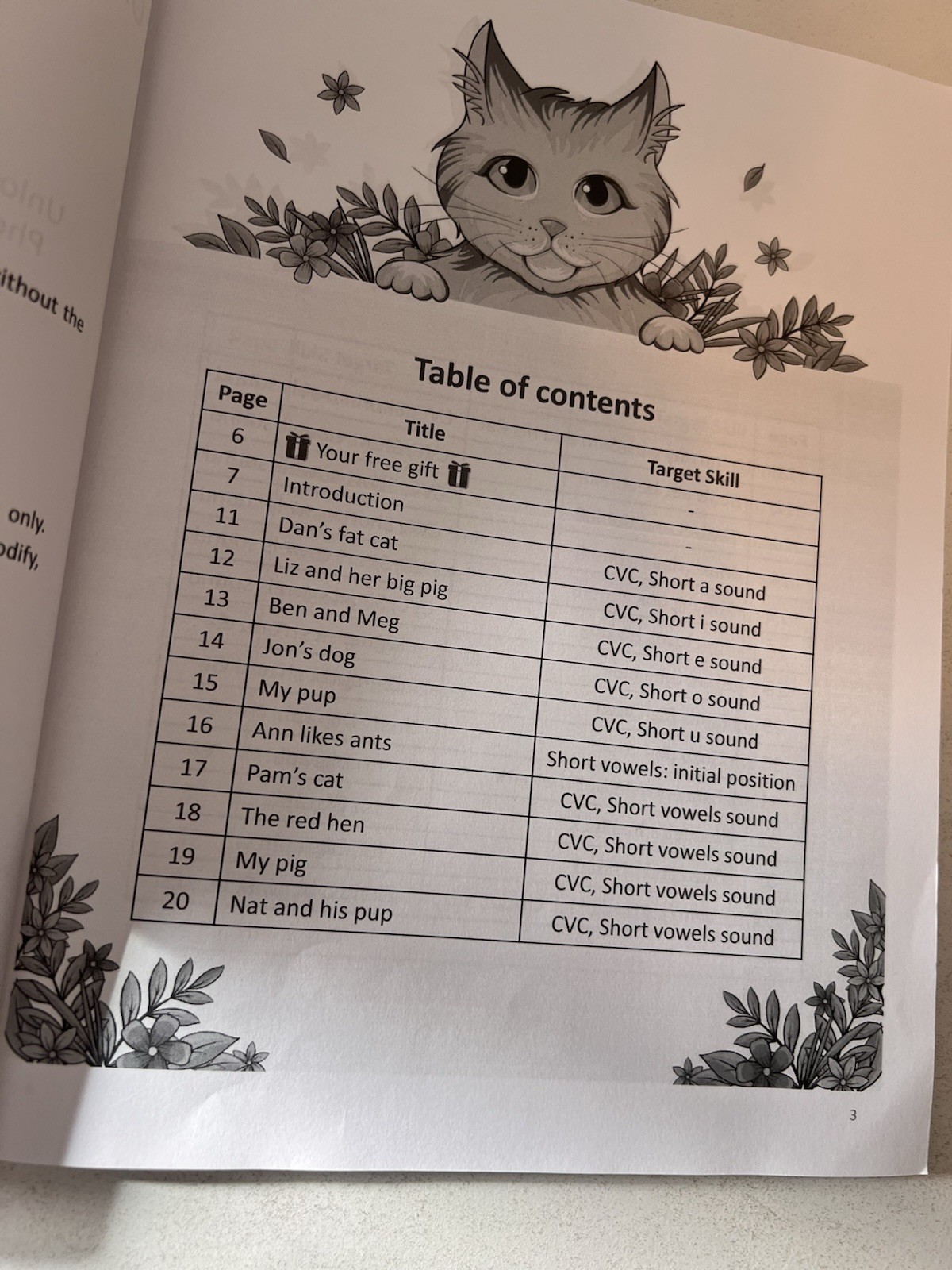 Decodable Readers Book Paperback Level 1 by Orton Gillingham