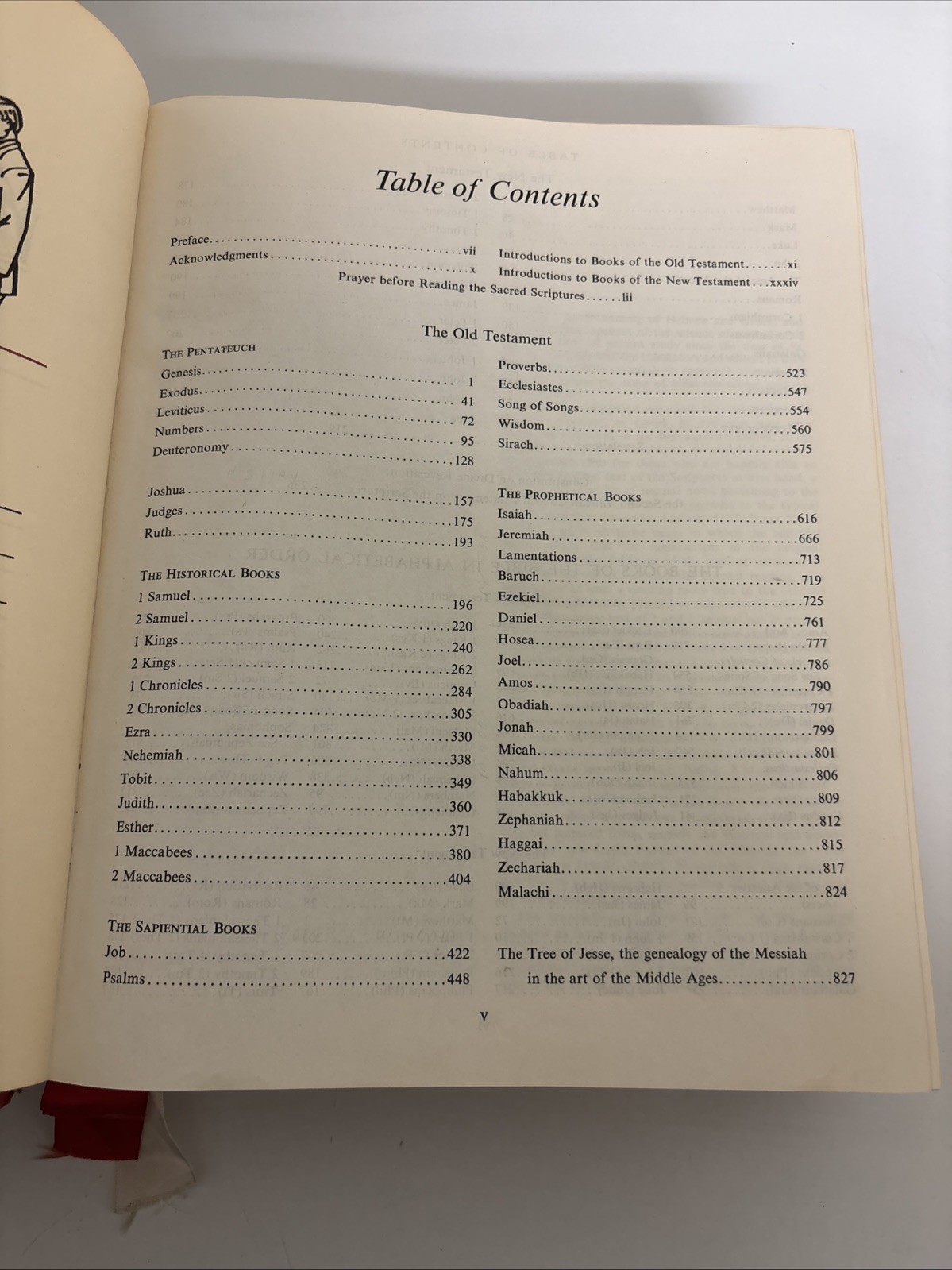 Holy Bible NAB Red. The New American Bible. Catholic Press World