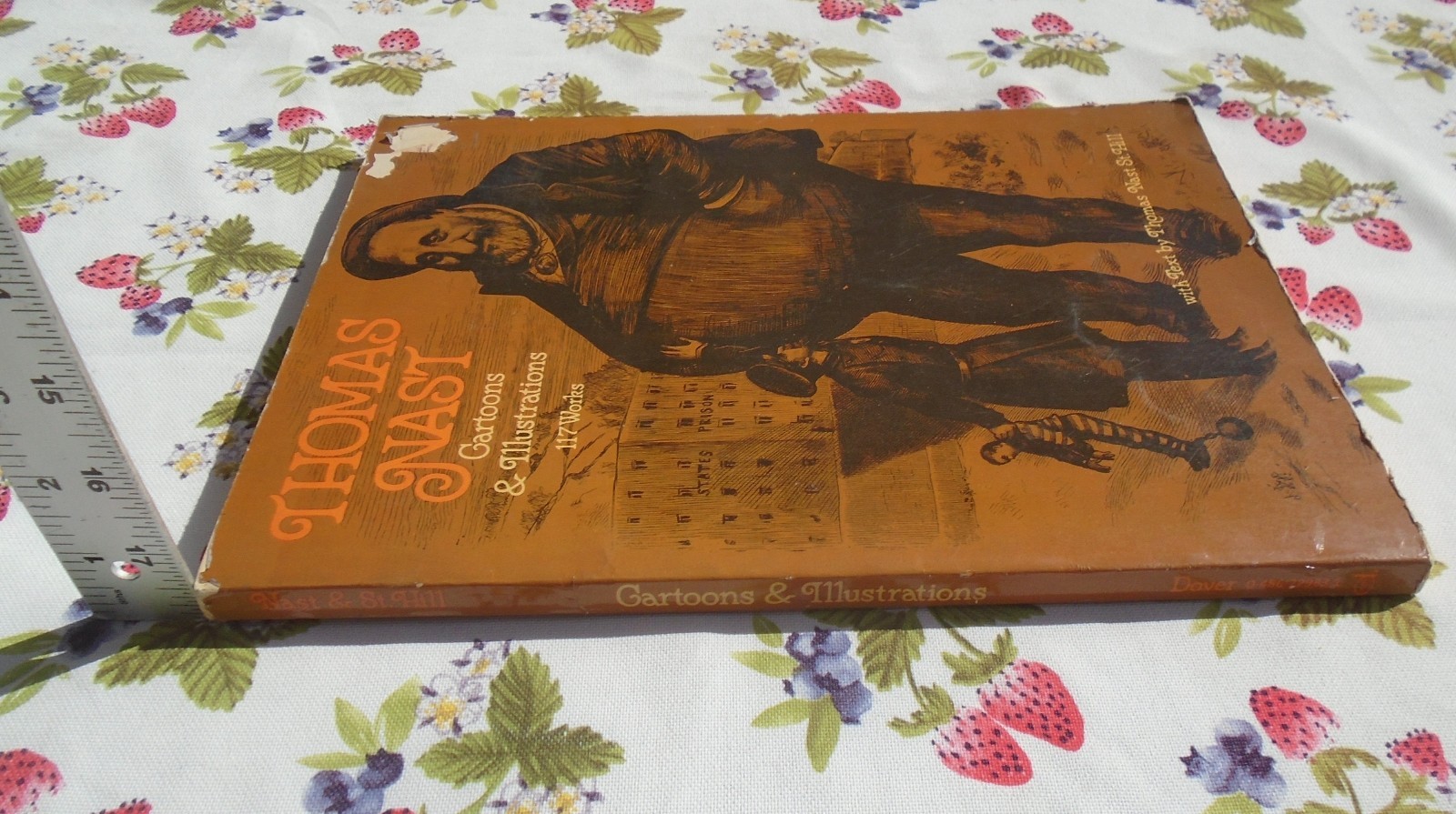 Thomas Nast: Cartoons and Illustrations By Thomas Nast Paperback