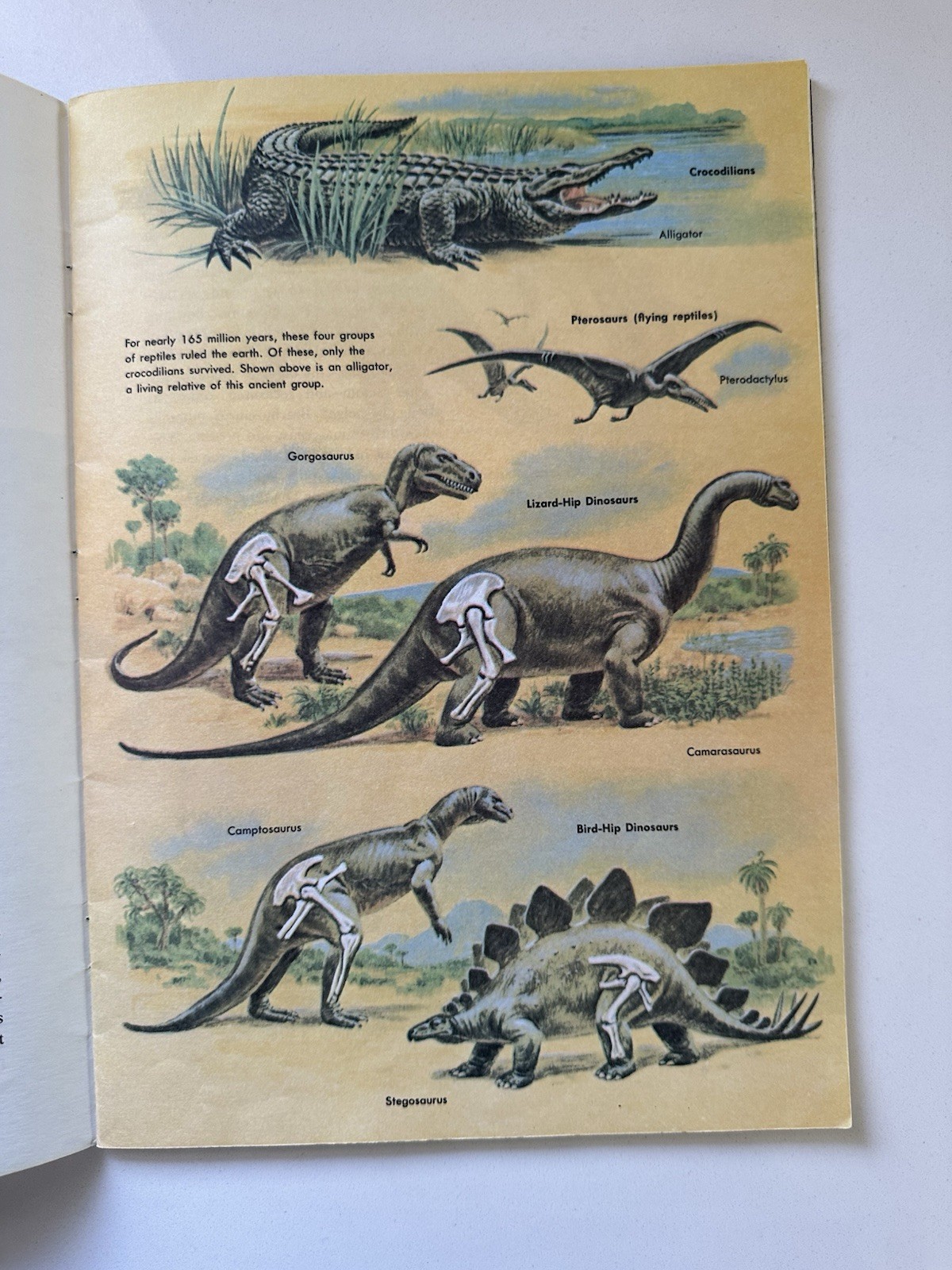 Vintage Golden Press Golden Exploring Earth Book Dinosaurs PB 1973 Illus