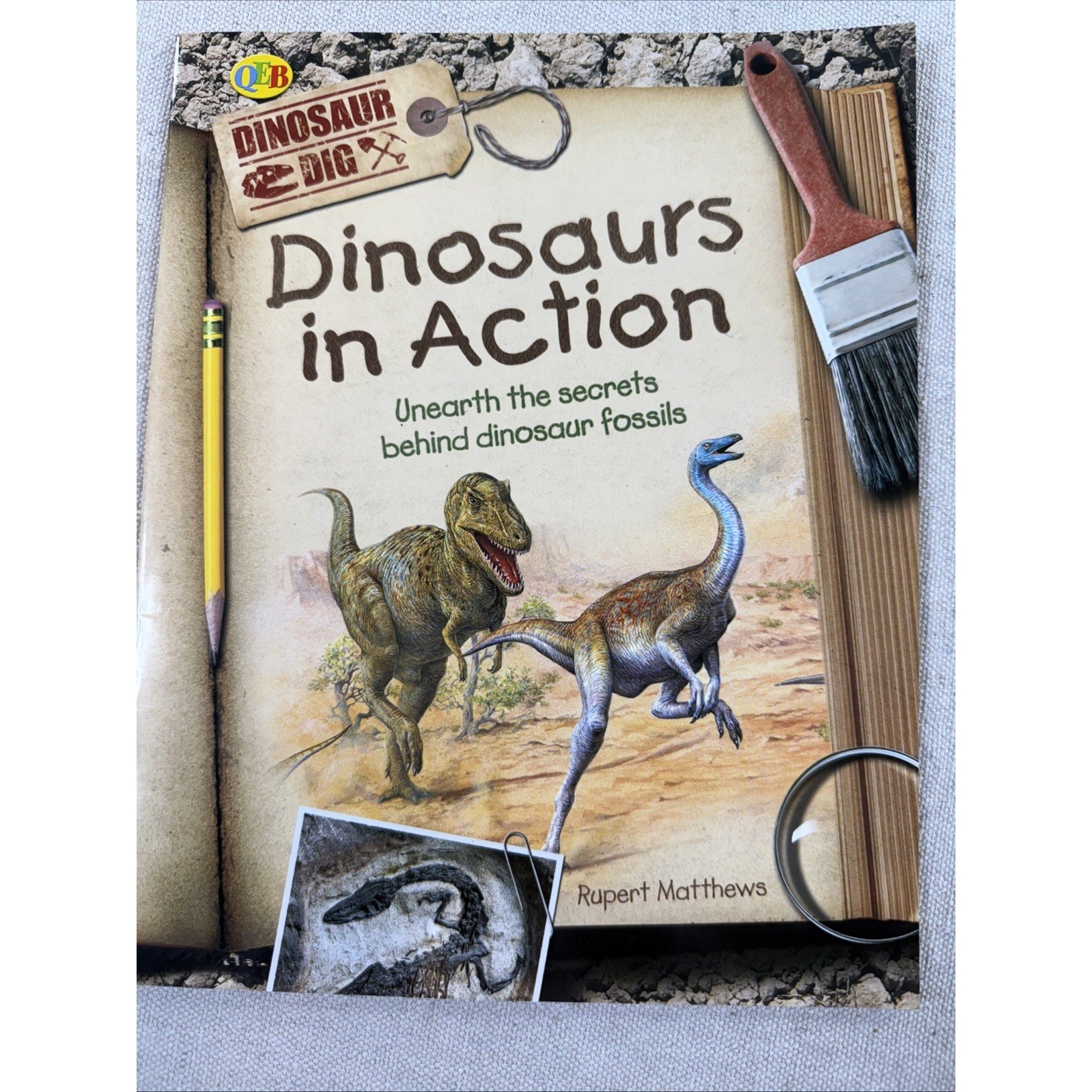 Dinosaur Books Kids Set 4 Rupert Matthews QEB Fossil Science Lot