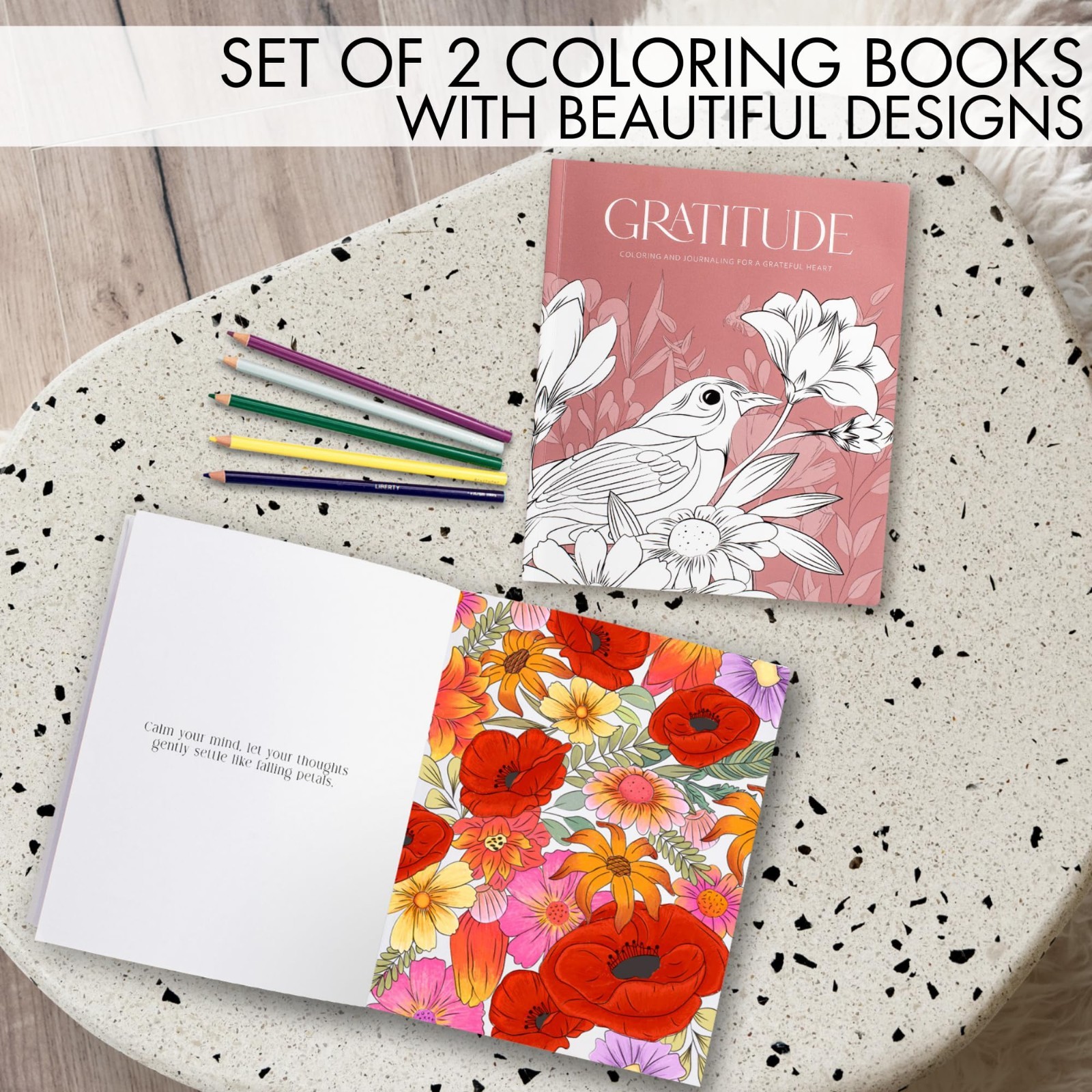 Set 2 for Mindfulness Beautiful Adult Coloring Book Gratitude and Stress Relief