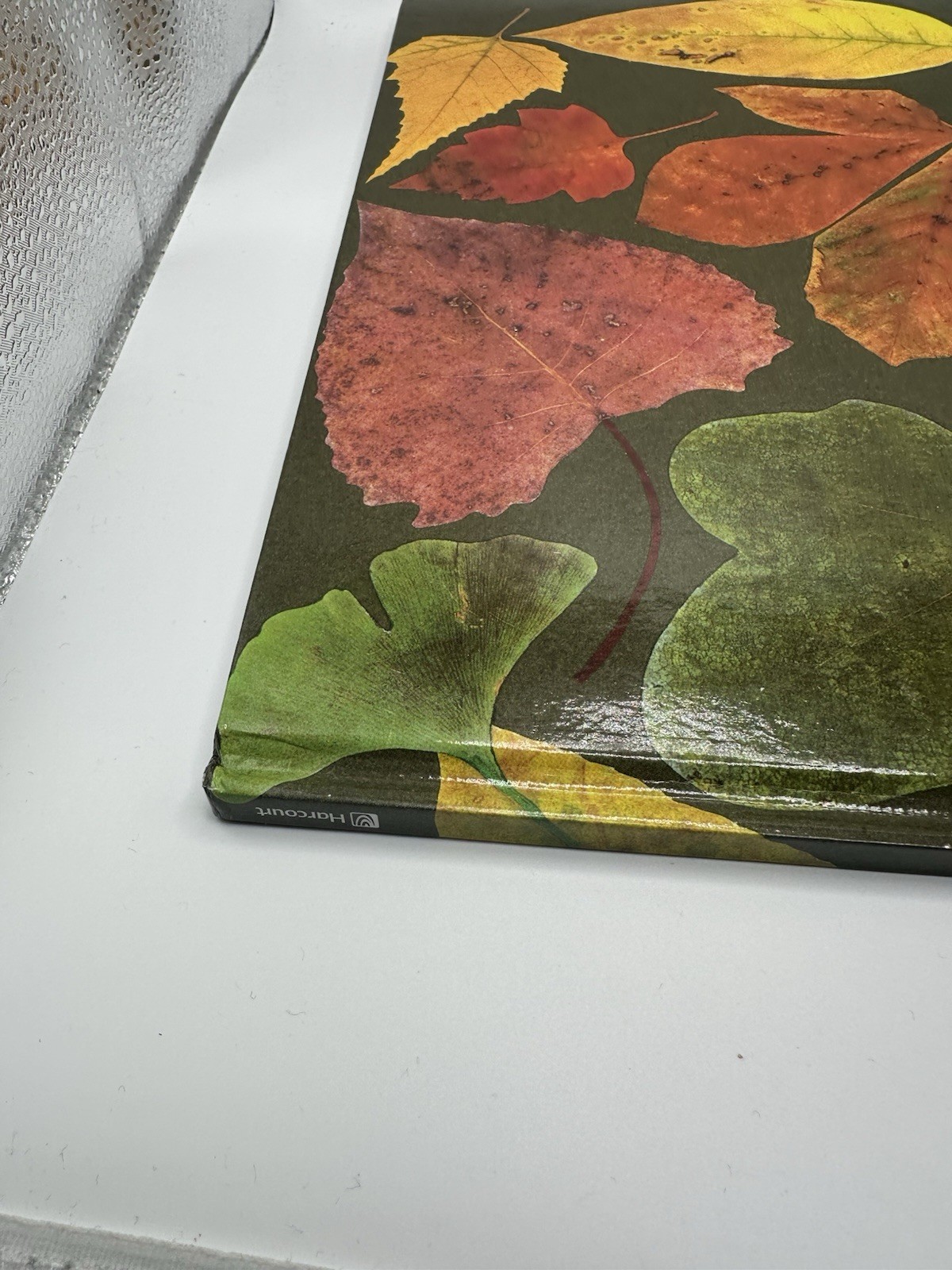 Leaf Man By Lois Ehlert