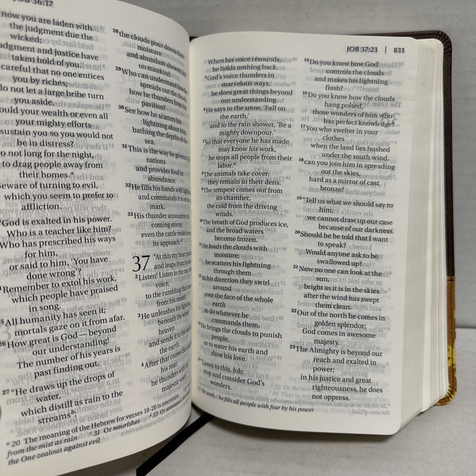 2011 NIV New International Version Pew Bible Large Print Zondervan Yellow Brown