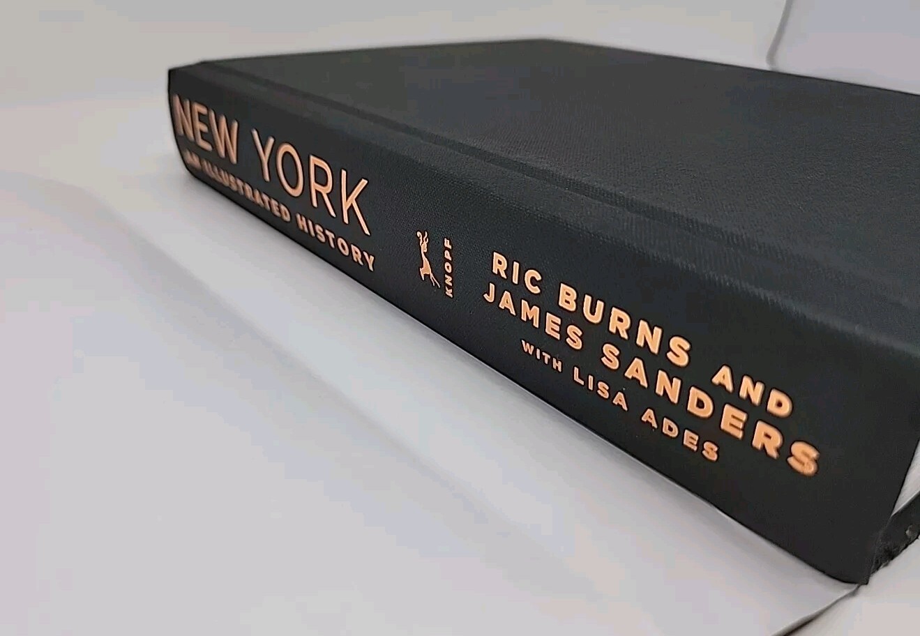 New York : An Illustrated History (Revised and Expanded) by James Sanders