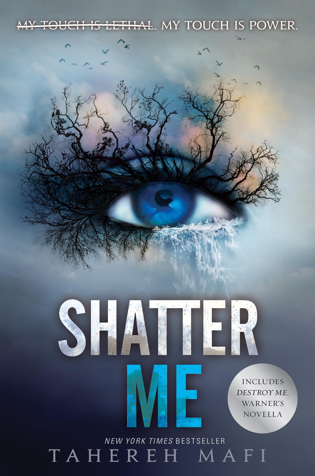 Shatter Me: A Journey of Strength and Rebellion Against a Dictatorship (Shat…