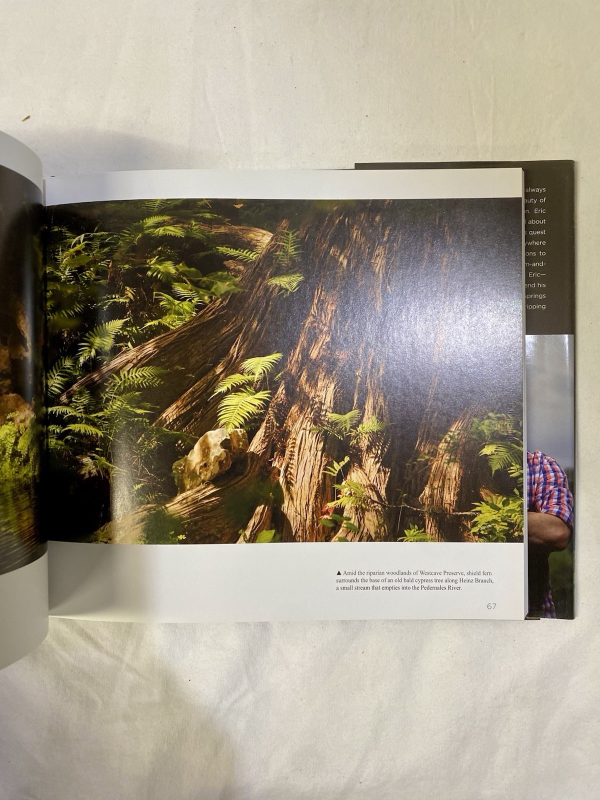 Texas Hill Country : A Scenic Journey by Eric Pohl (2017, Hardcover)