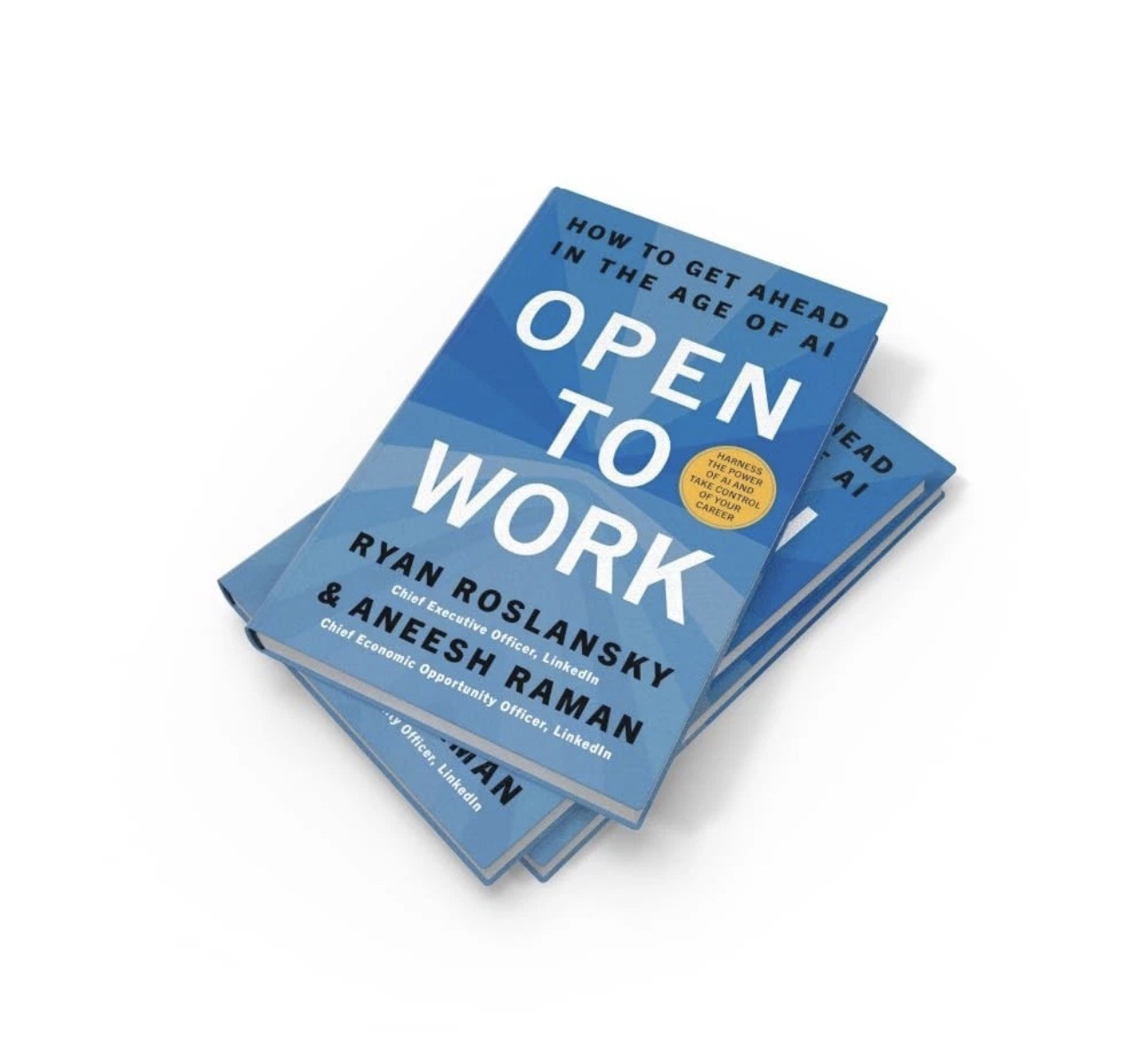Open to Work (Hardcover) by Ryan Roslansky Aneesh Raman