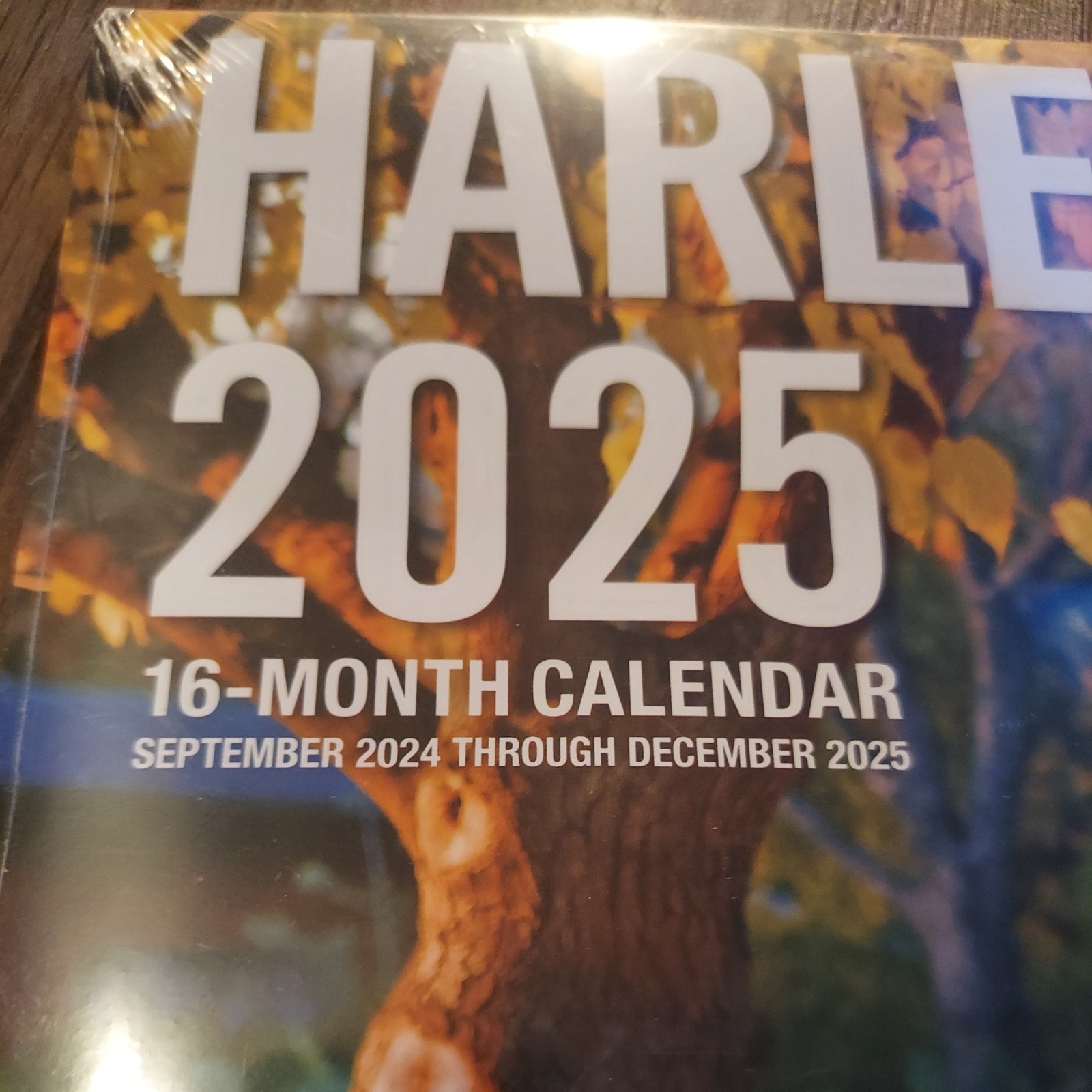 Harley-Davidson 17×12 2025: 16-Month Calendar–September 2024 through December 2